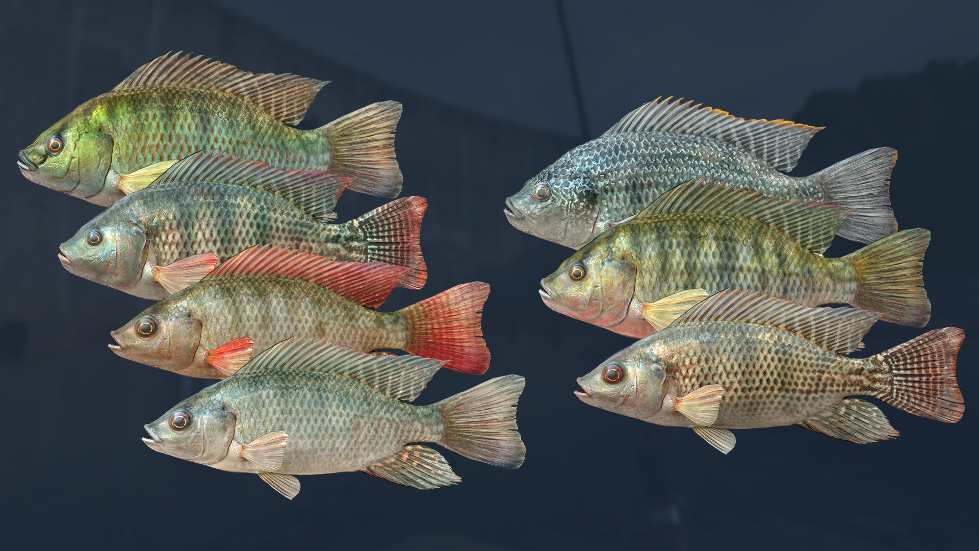 Ultimate Fishing Simulator VR - Kariba Dam DLC screenshot 4