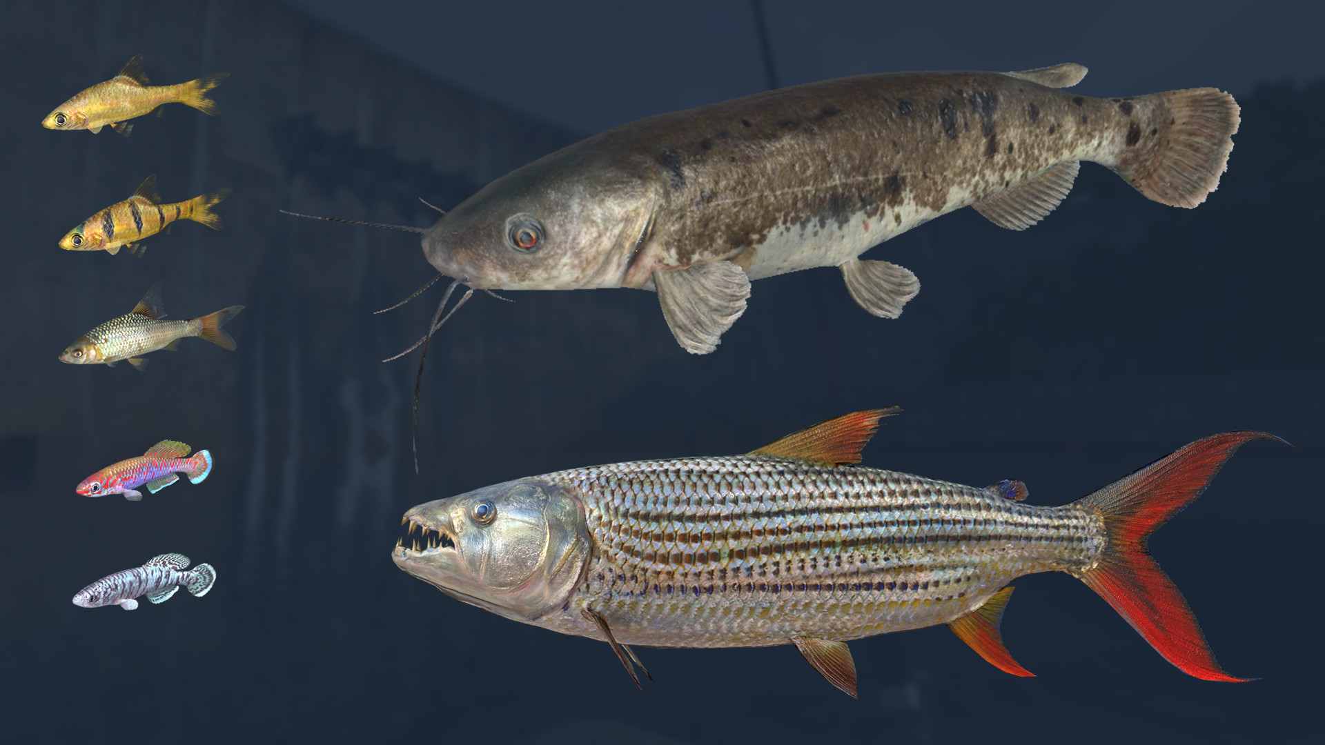 Ultimate Fishing Simulator VR - Kariba Dam DLC screenshot 9