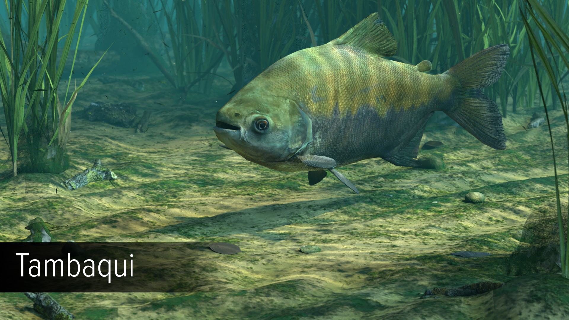 Ultimate Fishing Simulator VR - Amazon River DLC screenshot 17