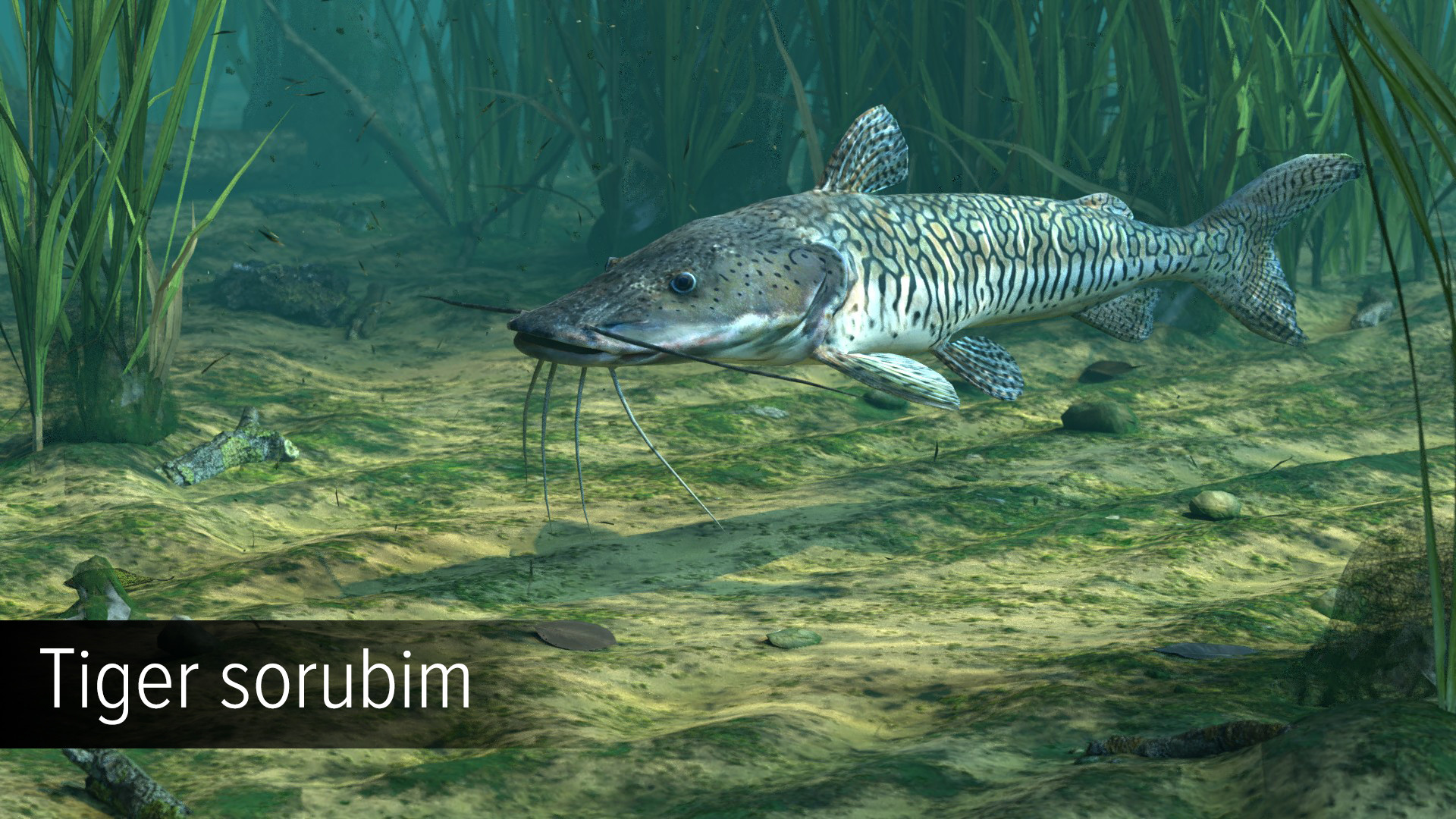 Ultimate Fishing Simulator VR - Amazon River DLC screenshot 11
