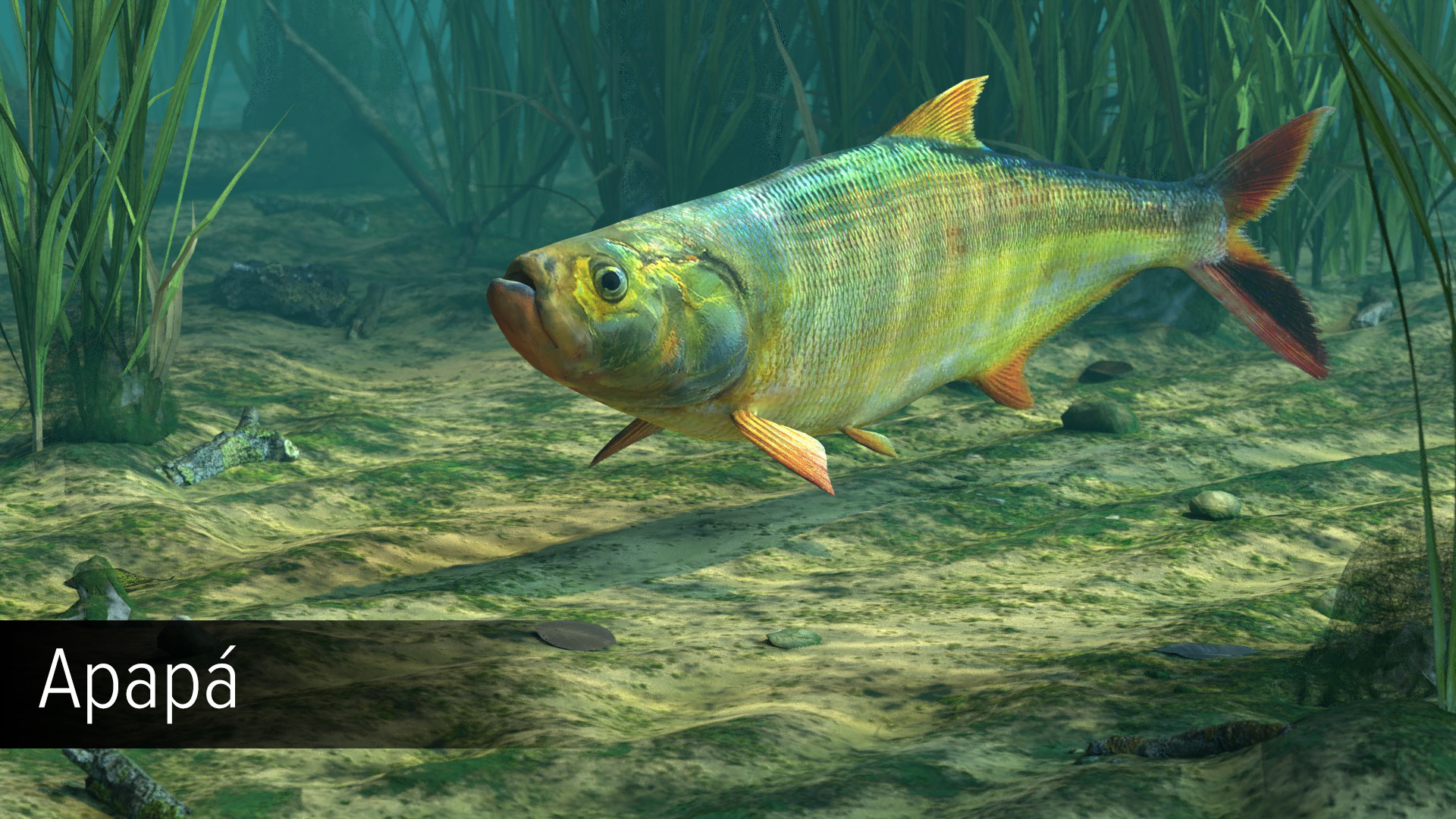 Ultimate Fishing Simulator VR - Amazon River DLC screenshot 7