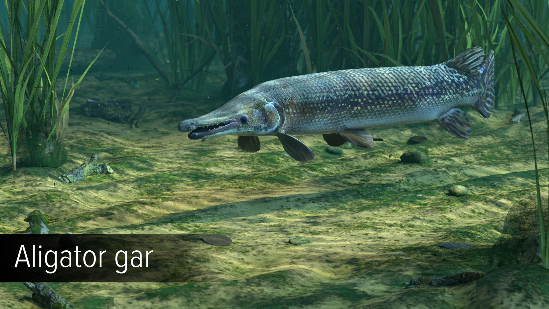 Ultimate Fishing Simulator VR - Amazon River DLC screenshot 8
