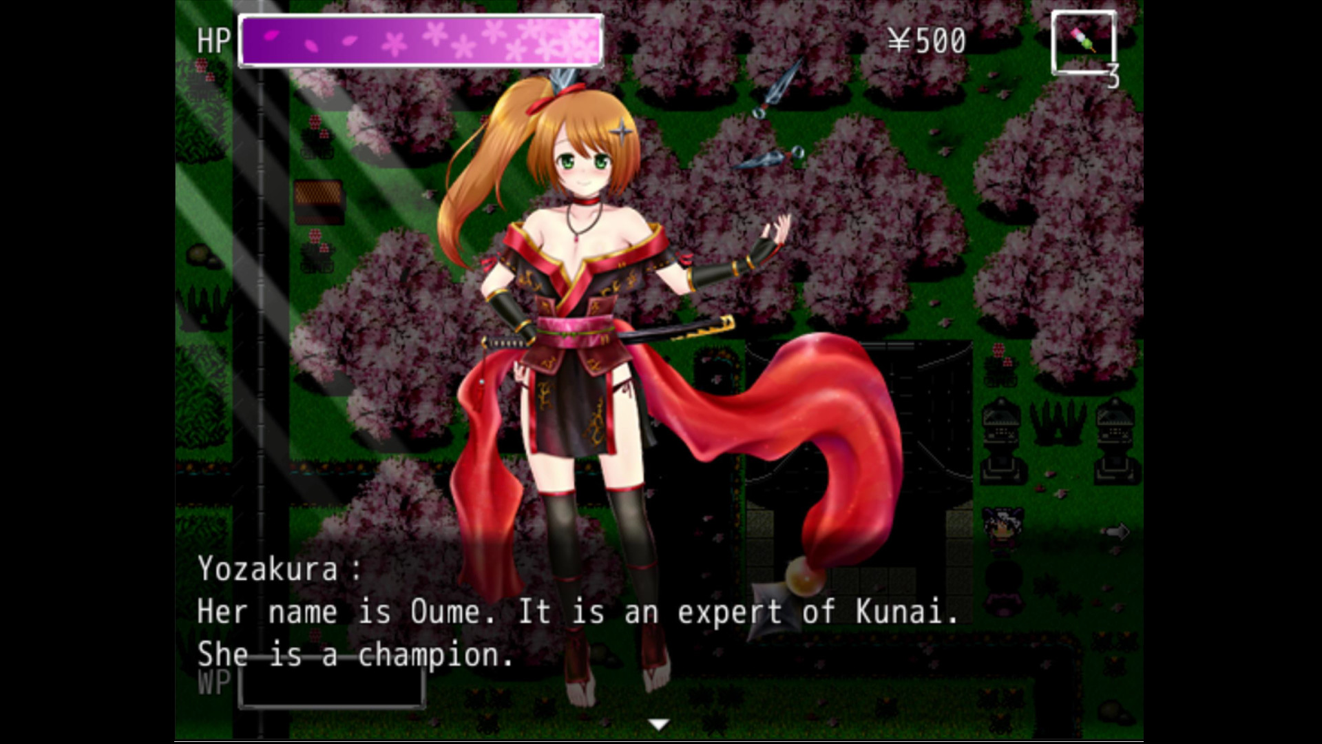 Kunoichi Ninja screenshot 7