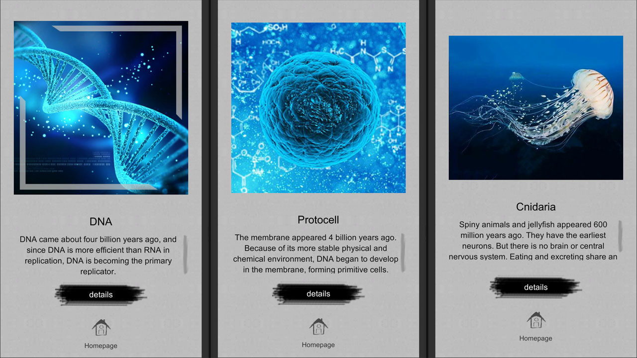 Jigsaw puzzle - Evolution screenshot 1