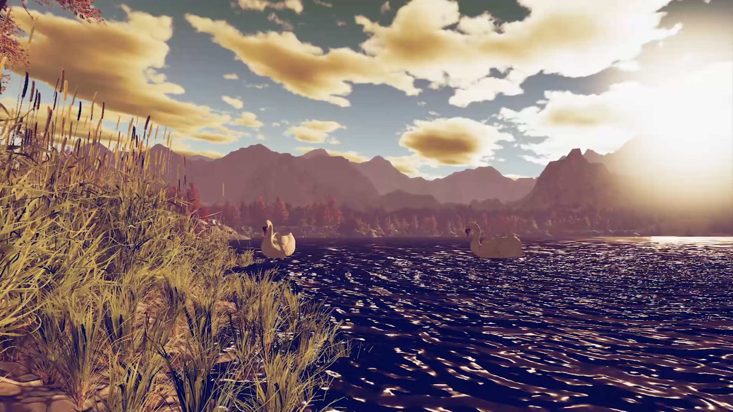 Instacalm VR screenshot 9