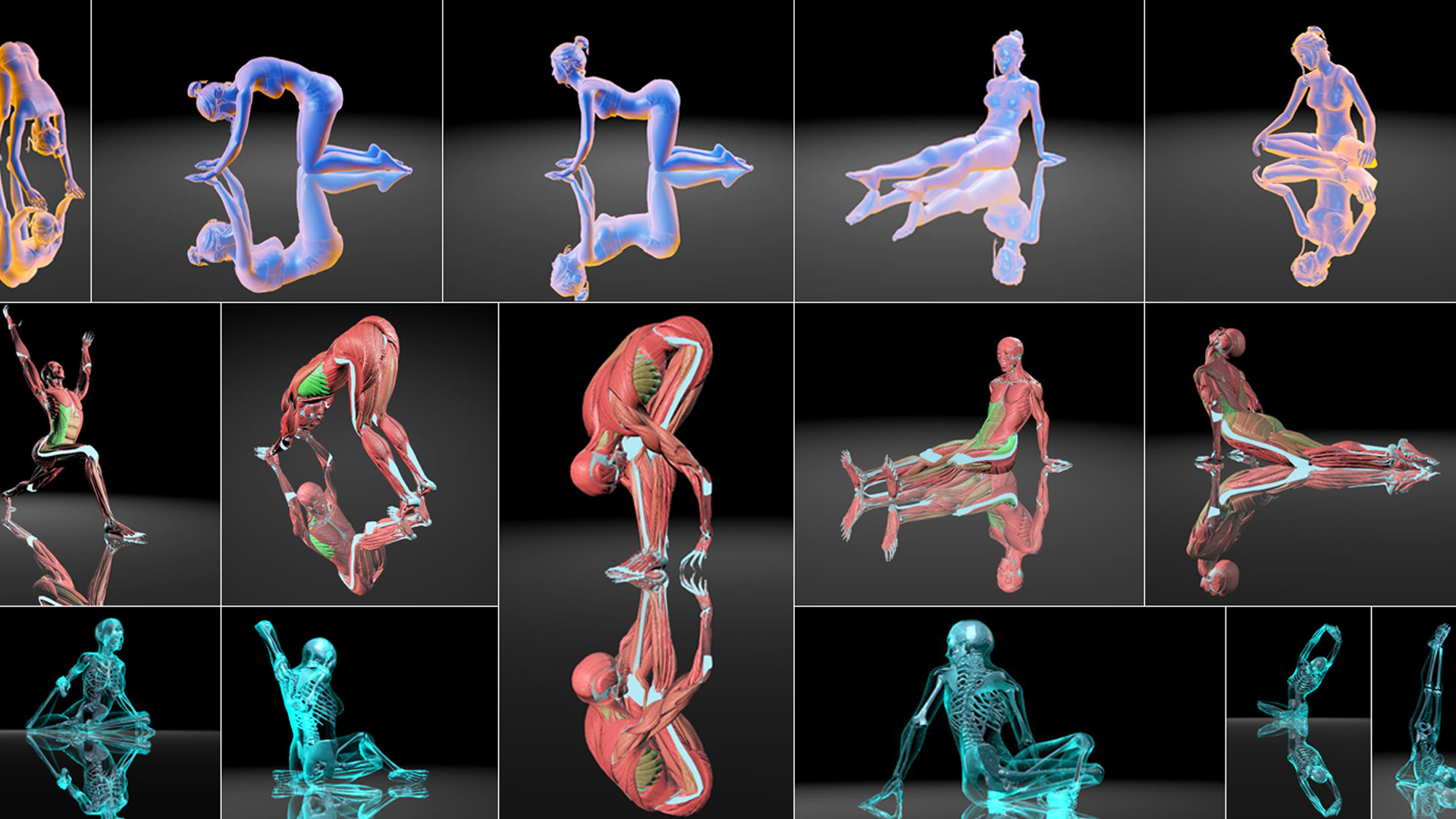 VirtuaLiron - Immersive YOGA practice screenshot 1