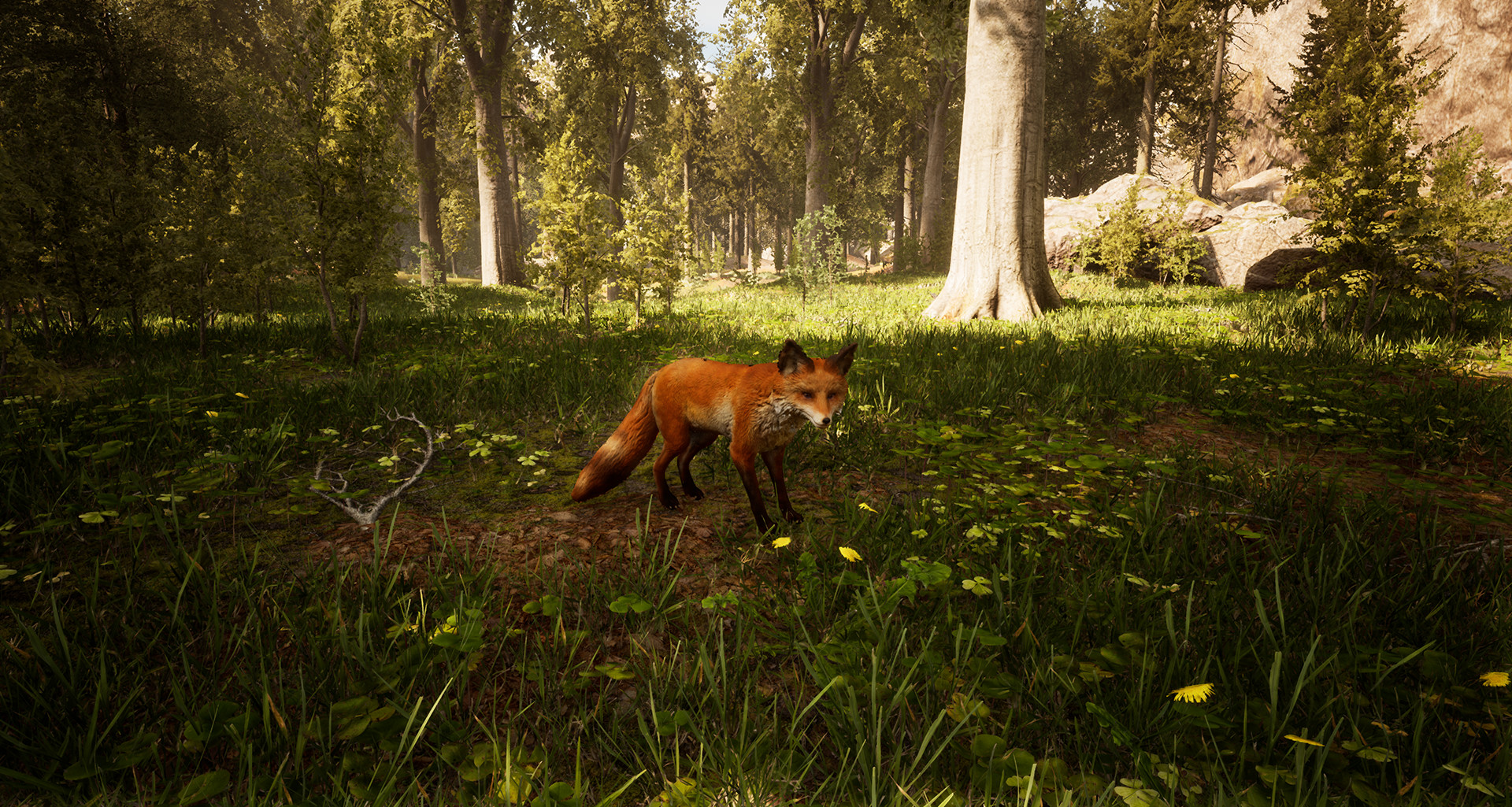 Morels: The Hunt screenshot 19