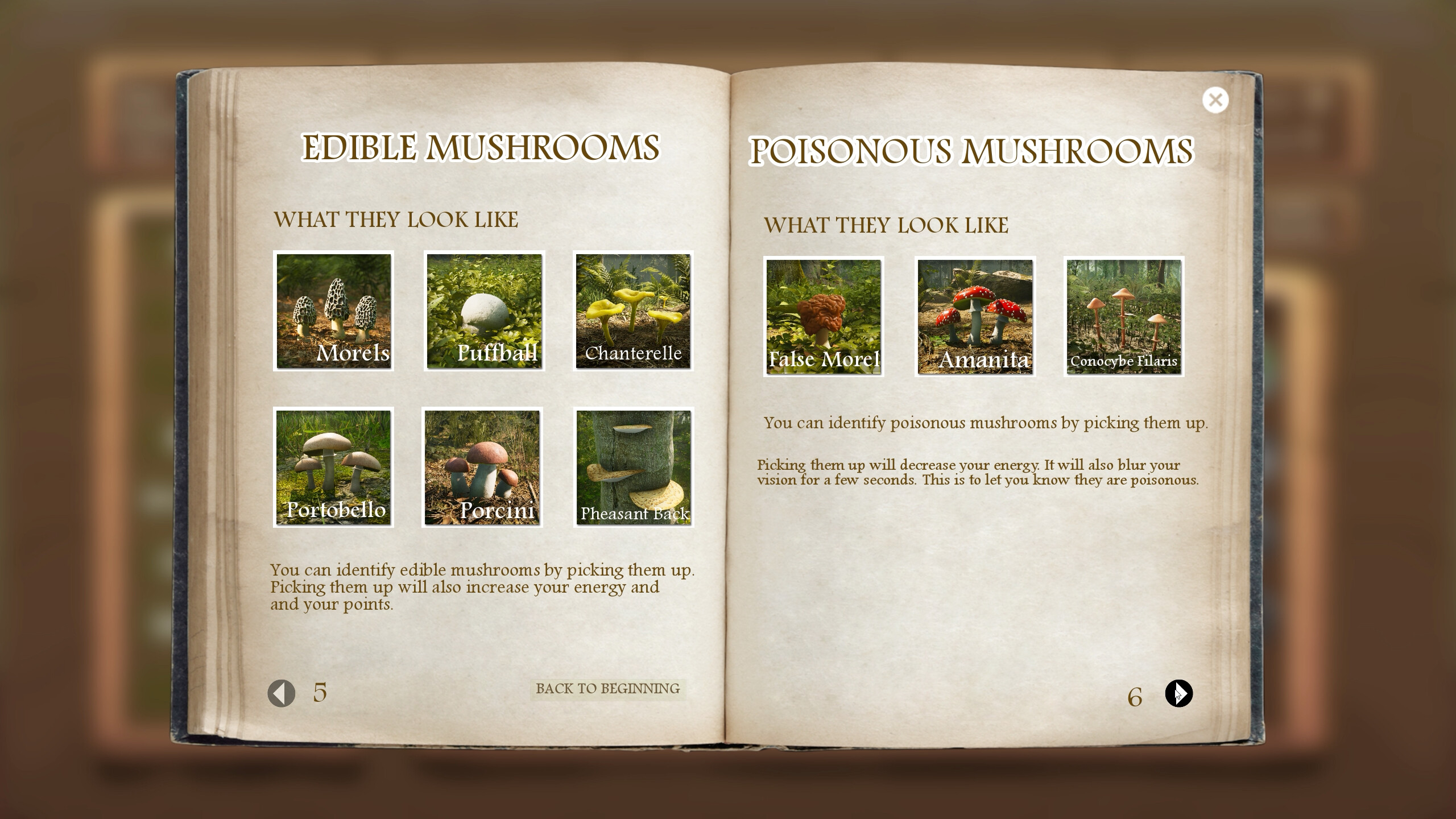 Morels: The Hunt screenshot 9