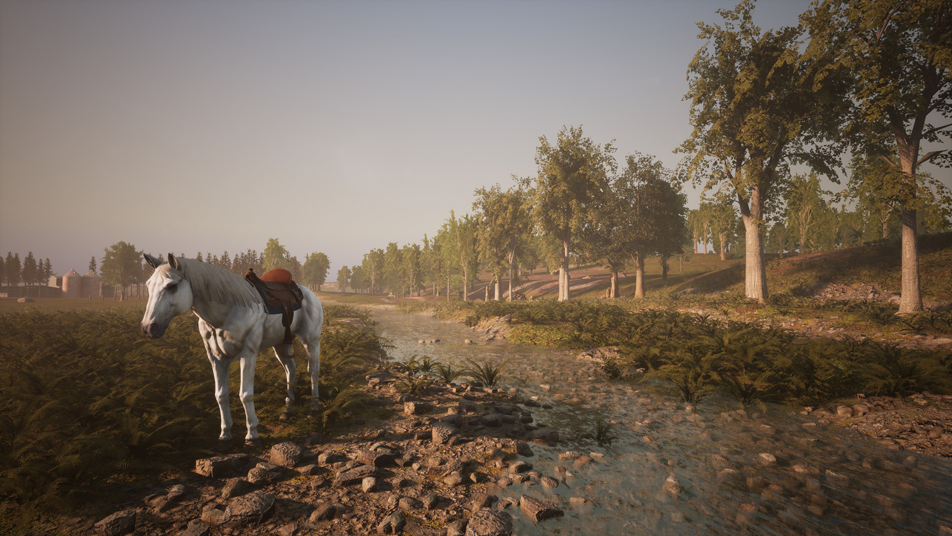Morels: The Hunt screenshot 22