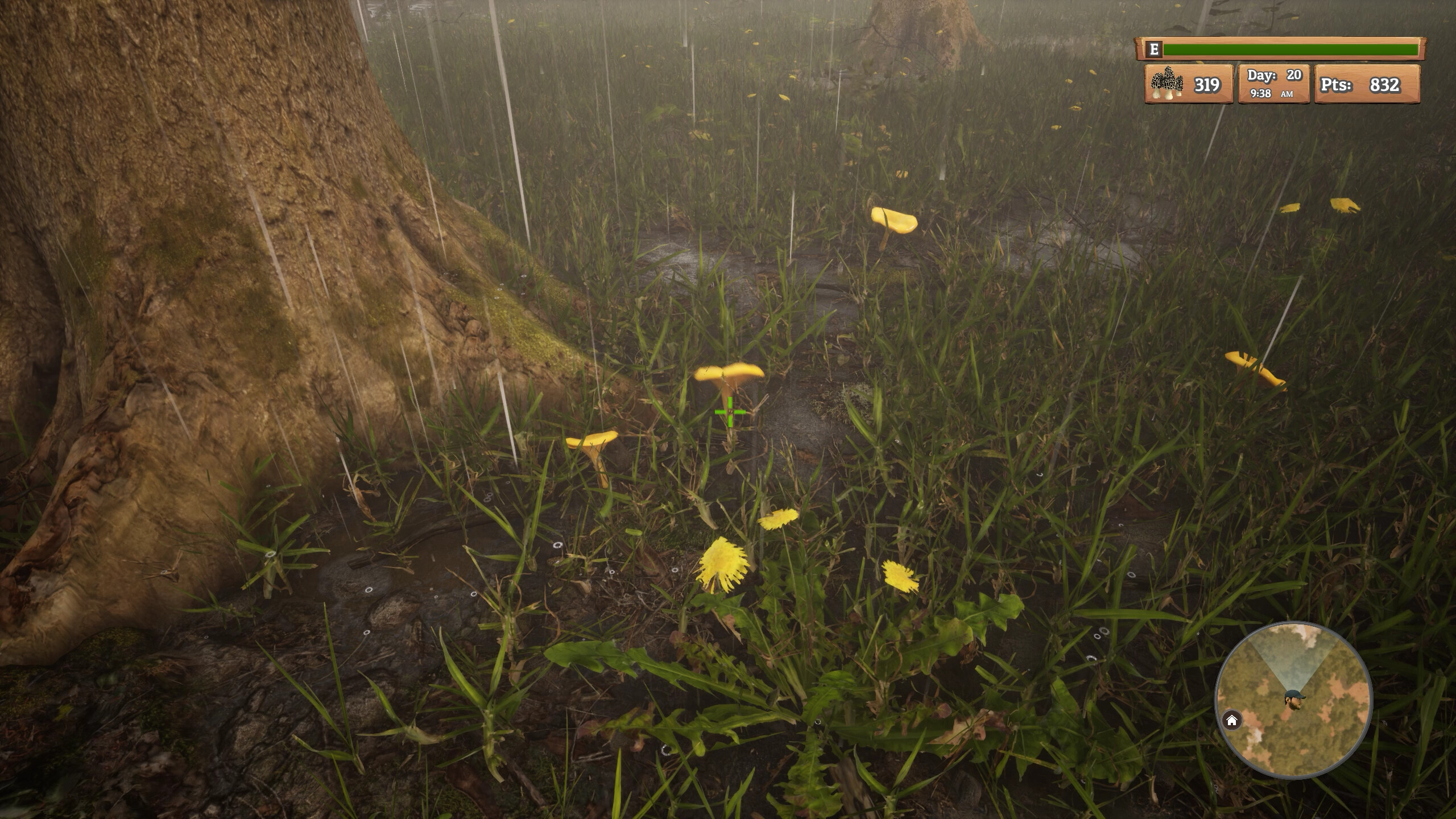 Morels: The Hunt screenshot 27