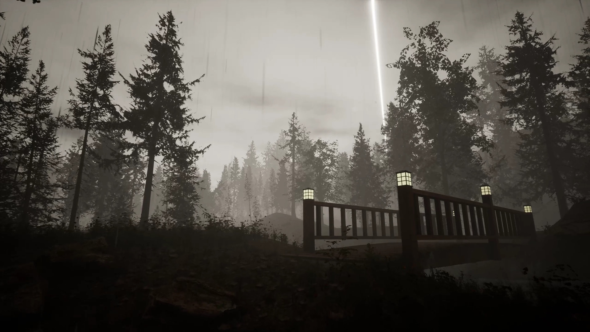 Morels: The Hunt screenshot 21