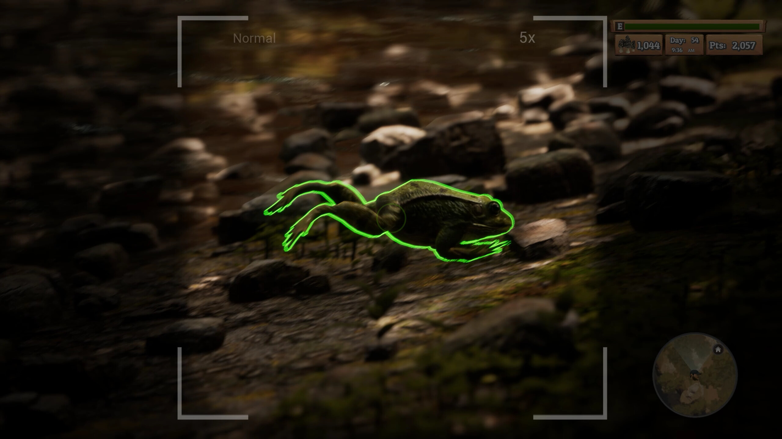 Morels: The Hunt screenshot 6