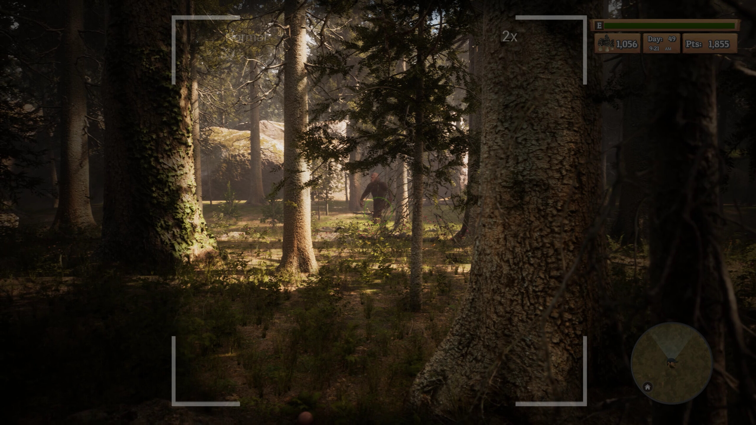 Morels: The Hunt screenshot 8