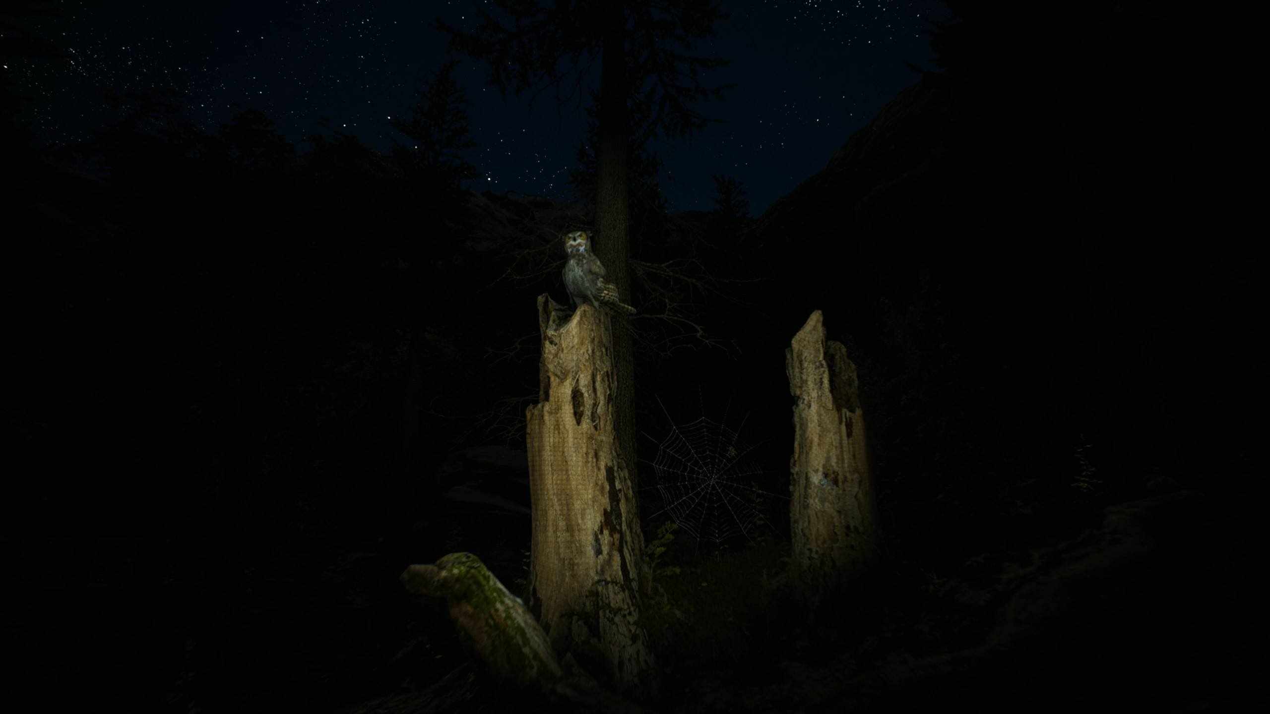Morels: The Hunt screenshot 26