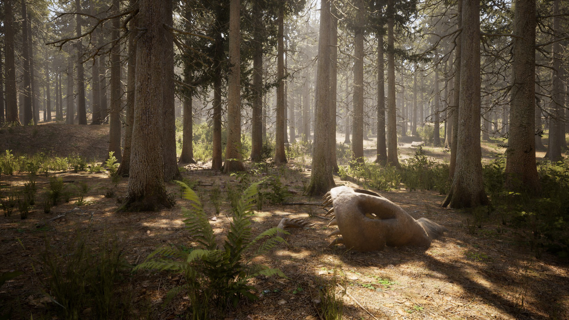 Morels: The Hunt screenshot 18