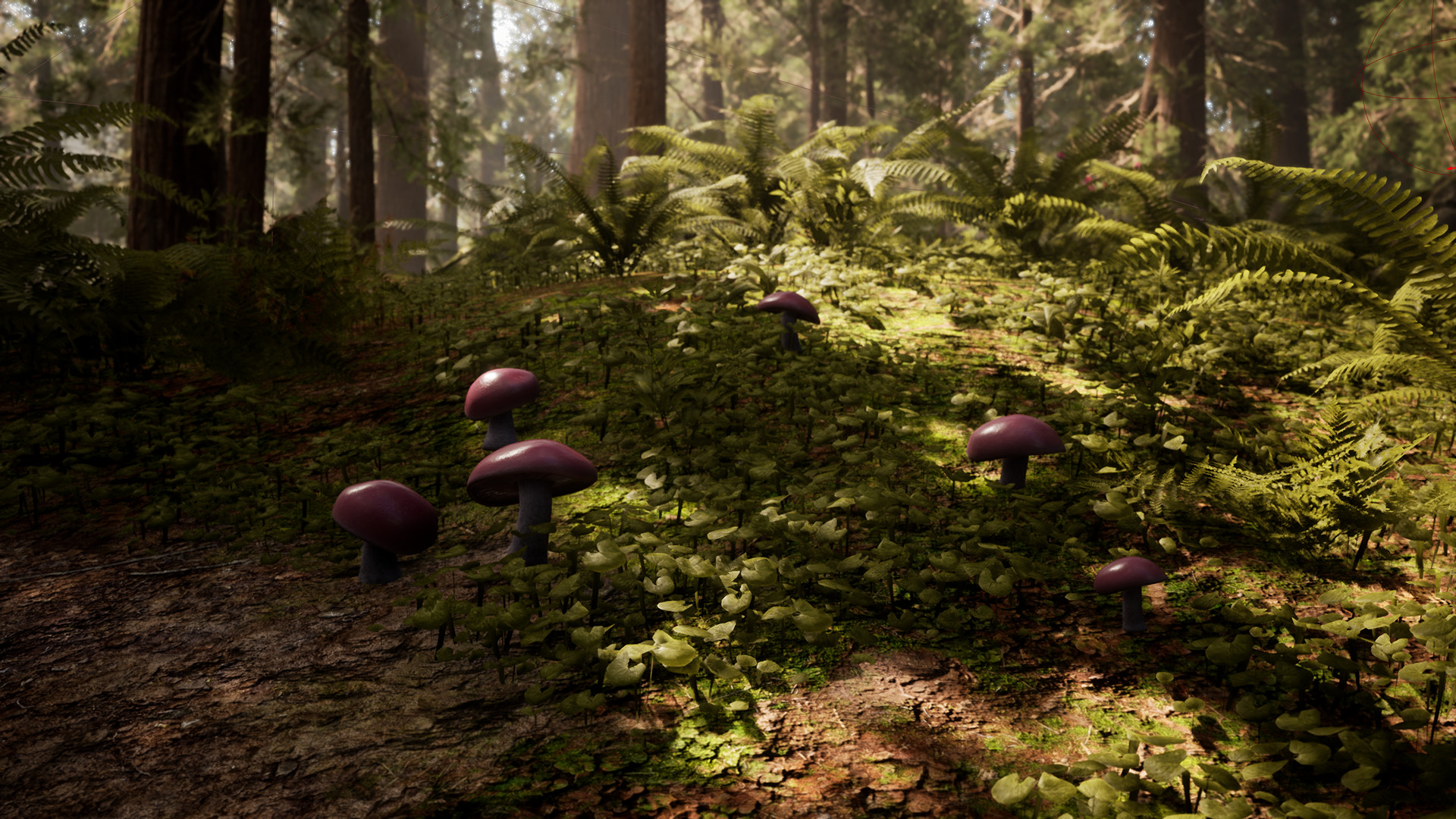 Morels: The Hunt screenshot 20