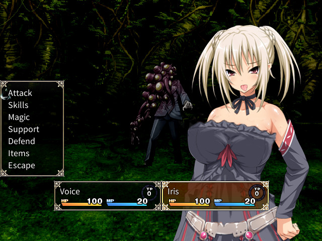 Holy Knight Luviria screenshot 4