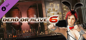 [Revival] DOA6 Sexy Bunny Costume - Mila