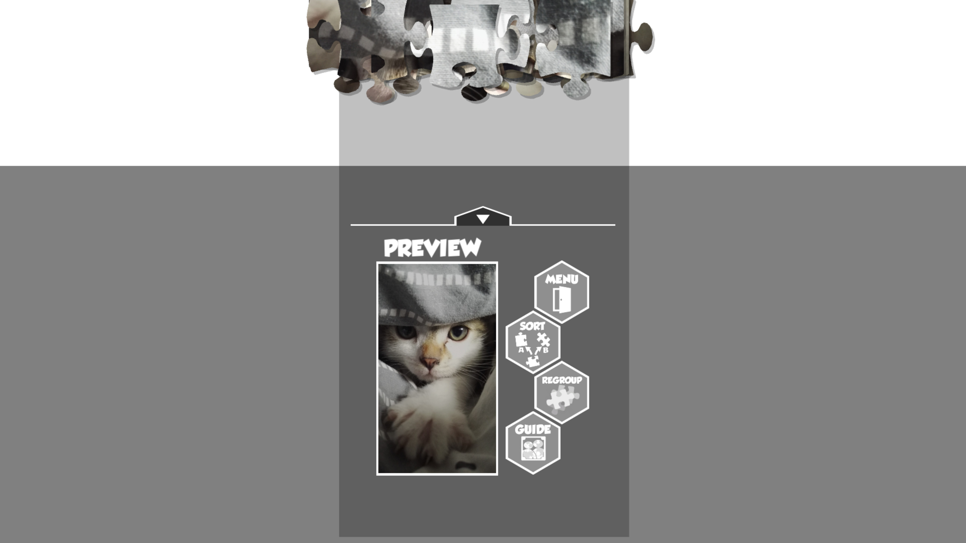 Puzzlection screenshot 5