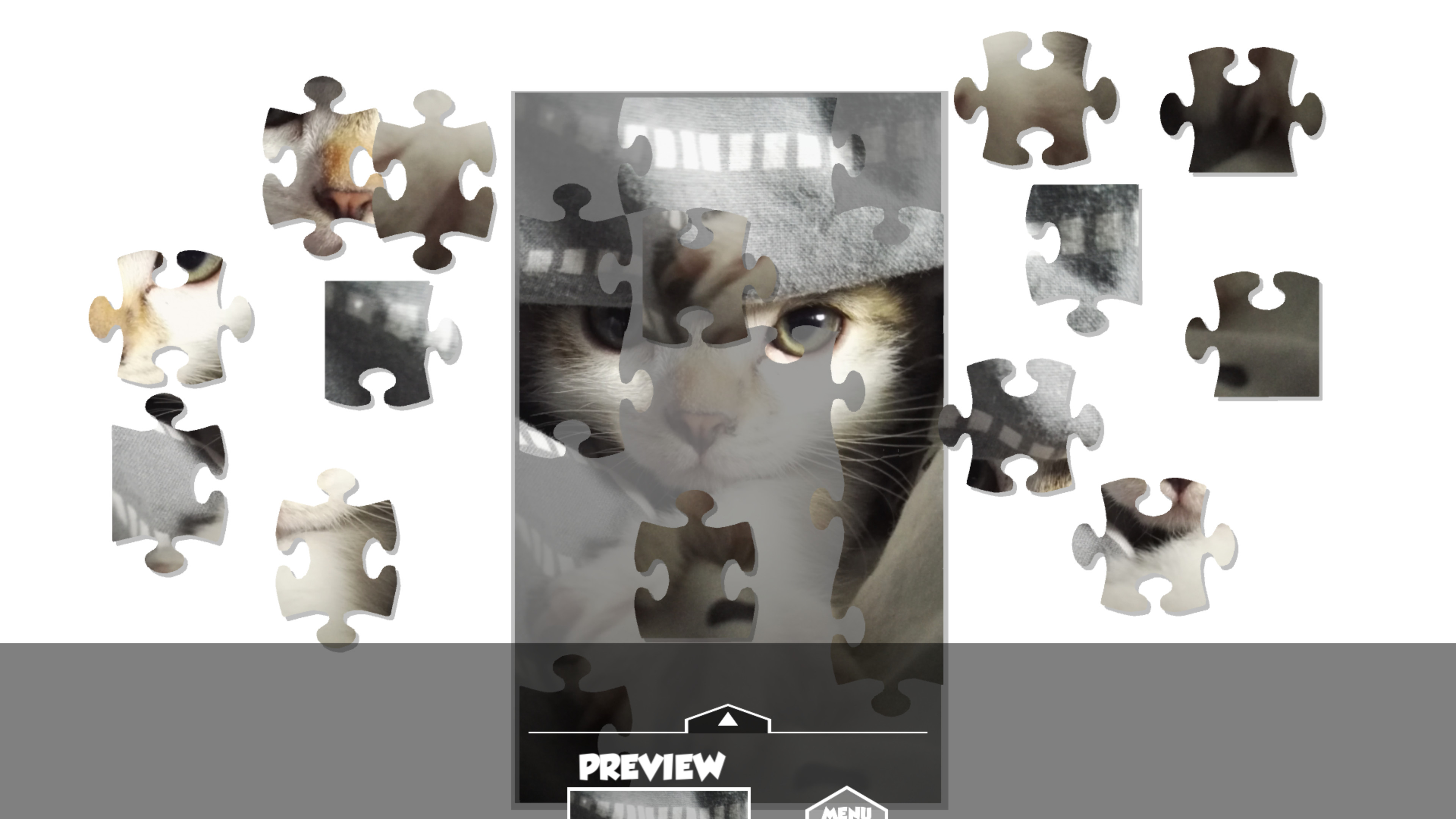 Puzzlection screenshot 3