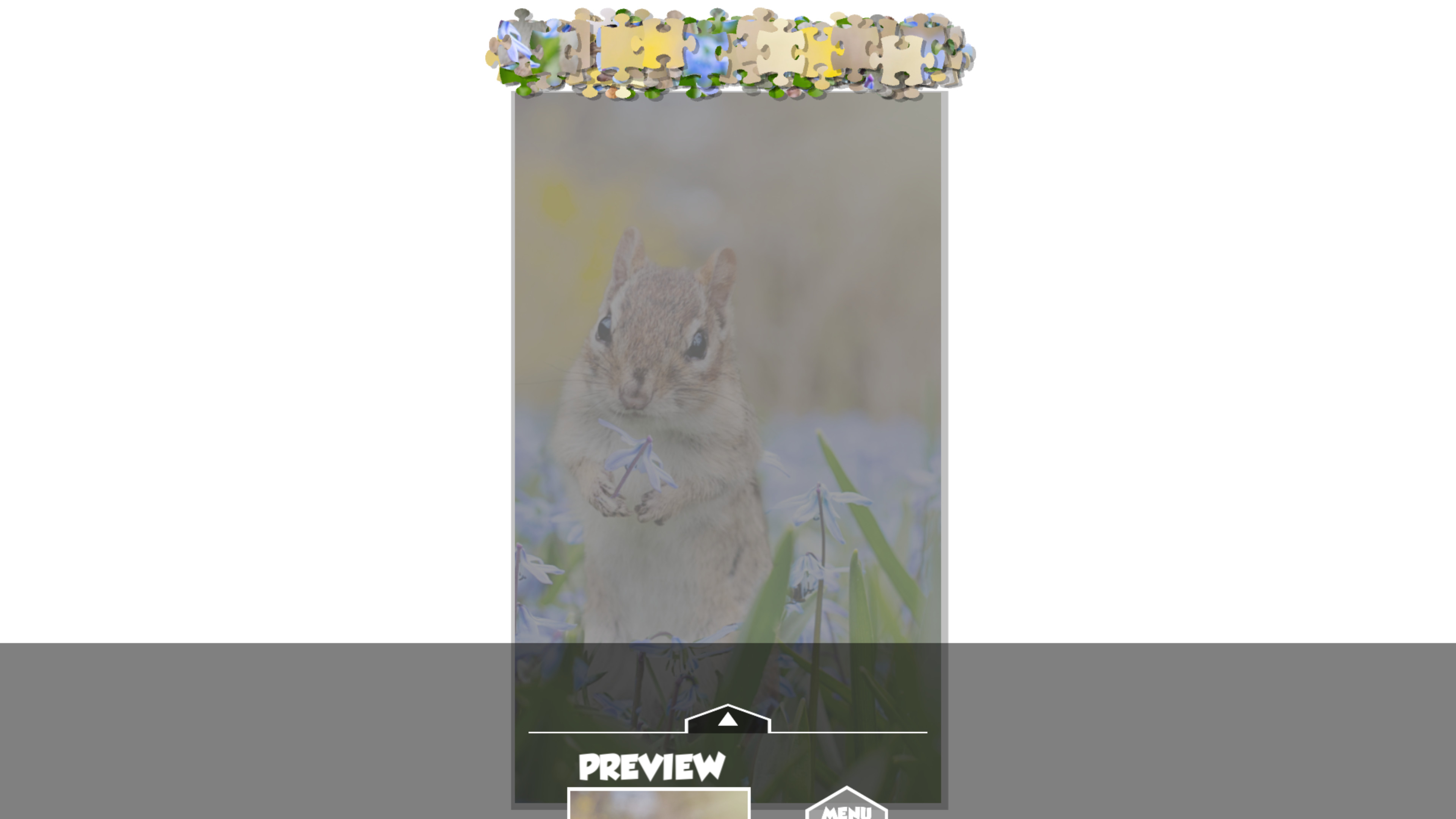 Puzzlection screenshot 1