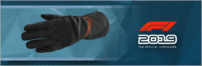 F1 2019: Gloves 'Stealth' screenshot 1
