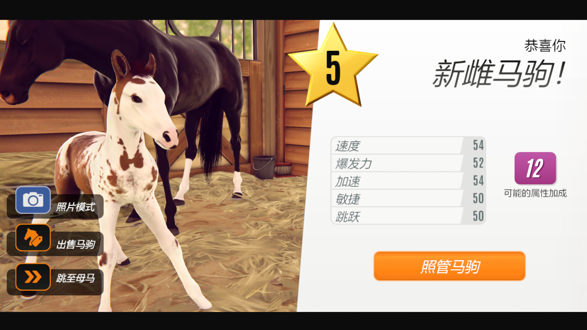 家族传奇：马匹养成竞技/Rival Stars Horse Racing: Desktop Edition