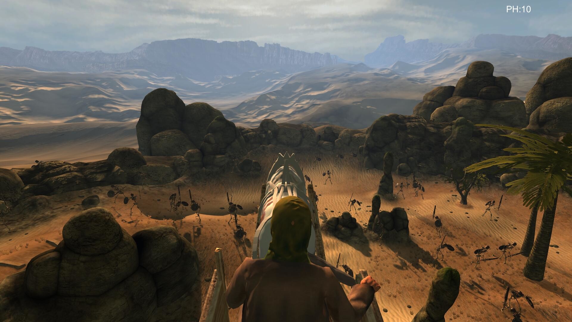 Desert coachman screenshot 9