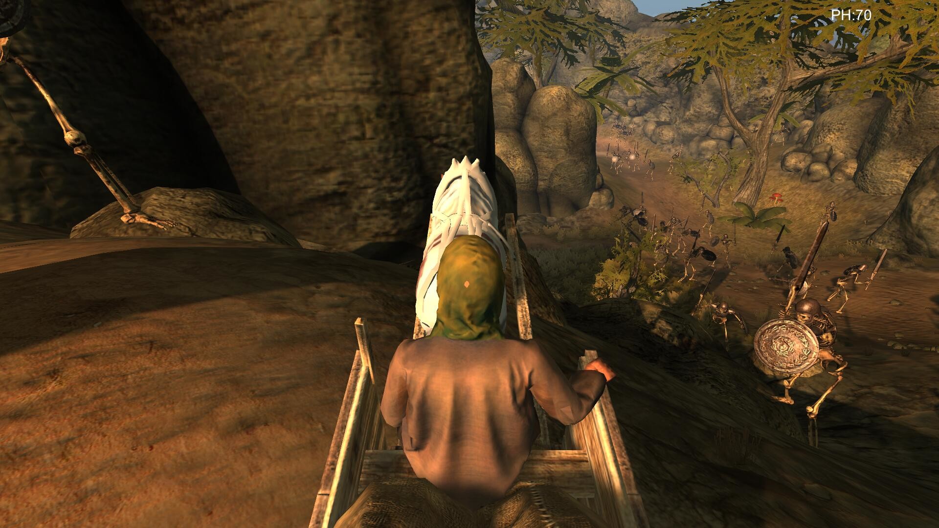 Desert coachman screenshot 11