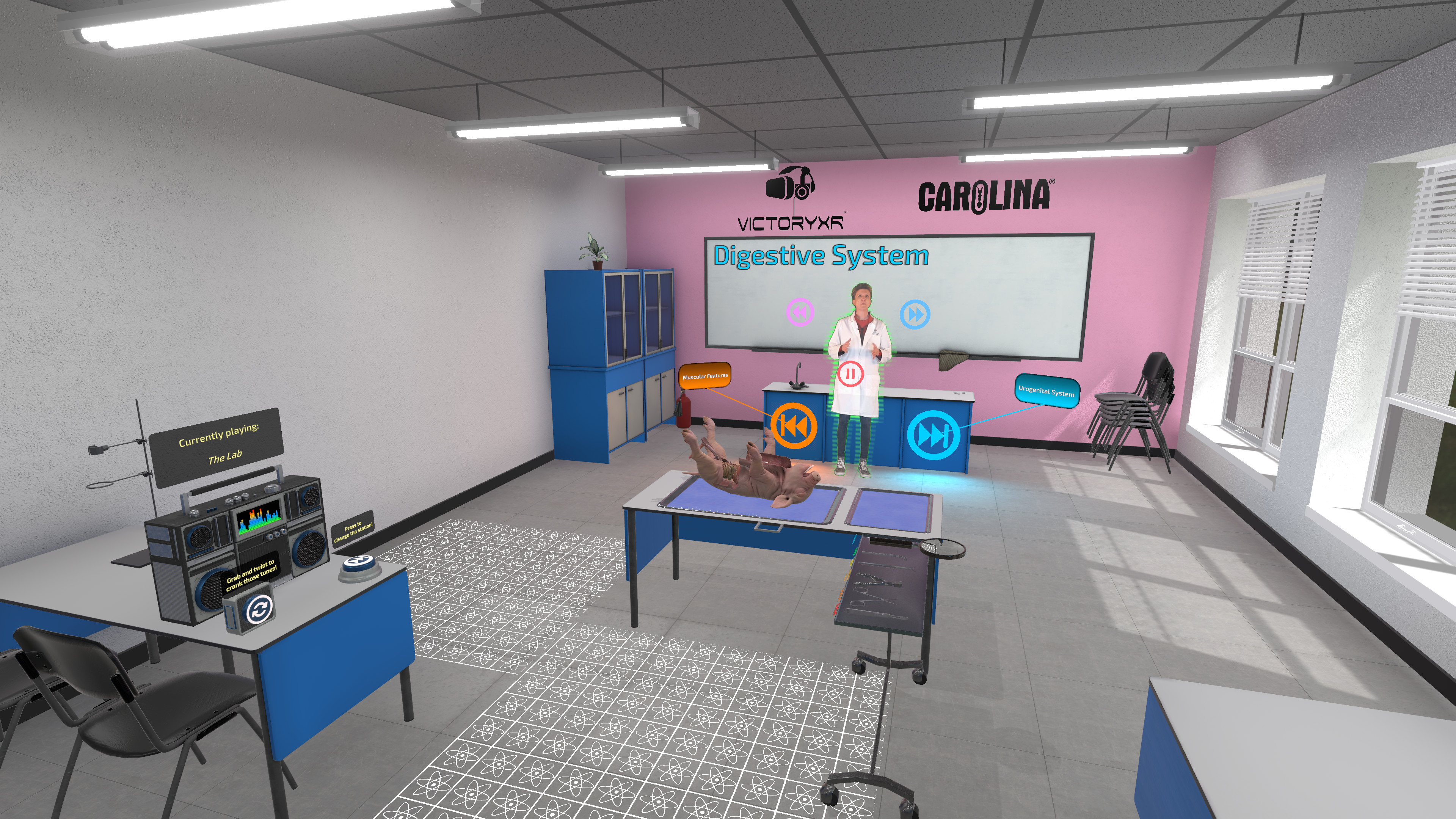 Dissection Simulator: Pig Edition screenshot 5