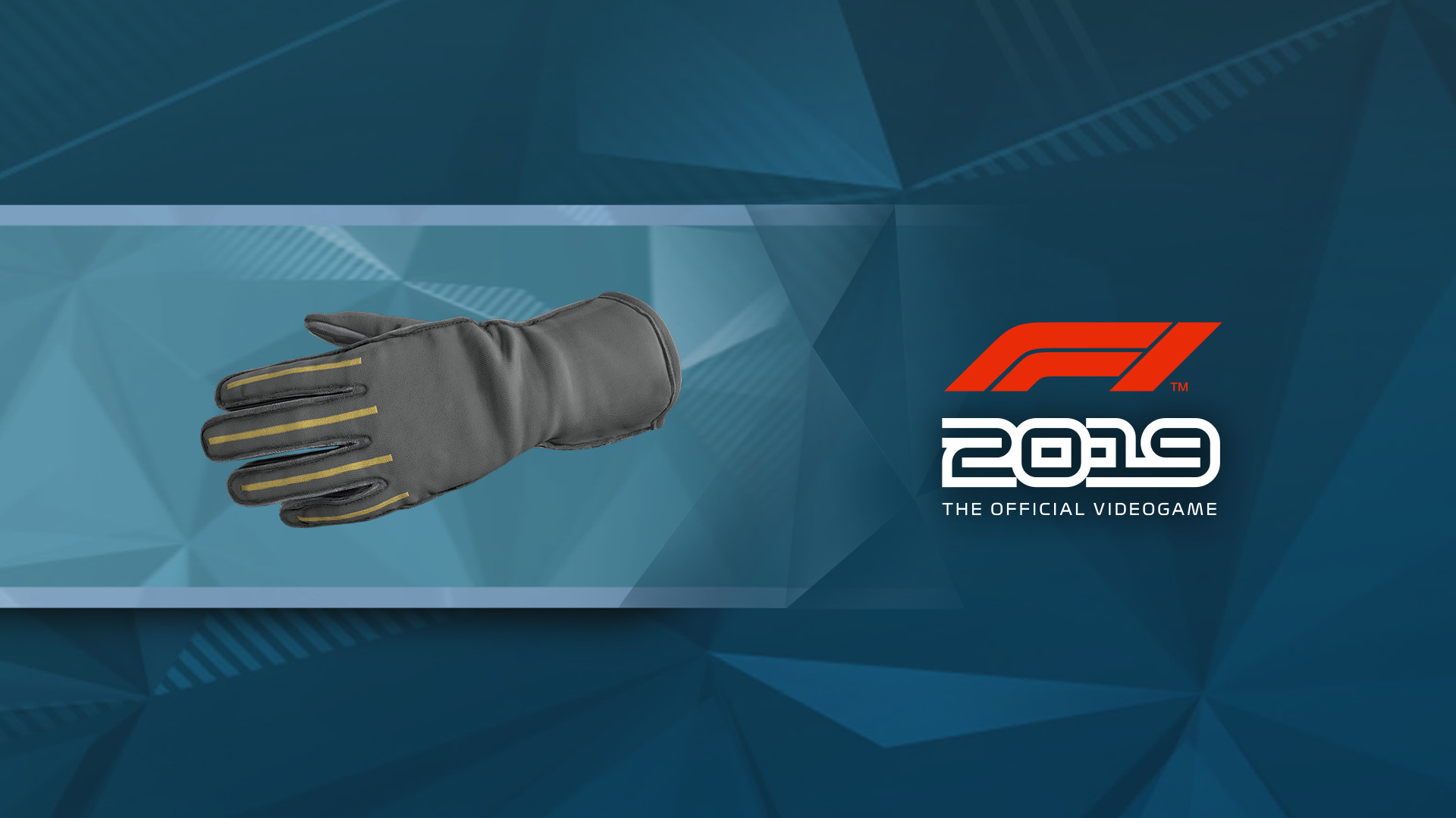 F1 2019: Gloves 'Double Grey' screenshot 1