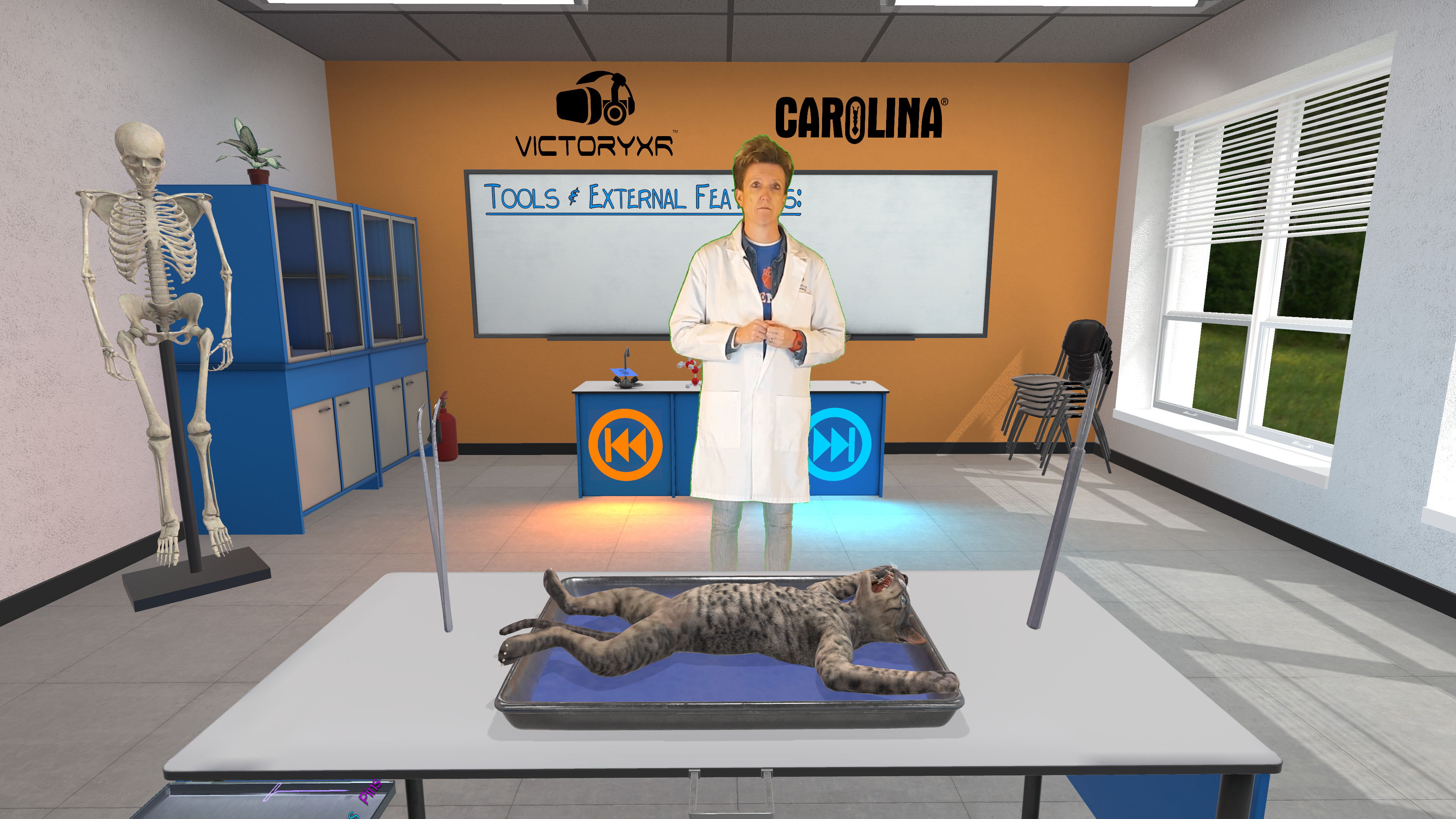 Dissection Simulator: Feline Edition screenshot 2