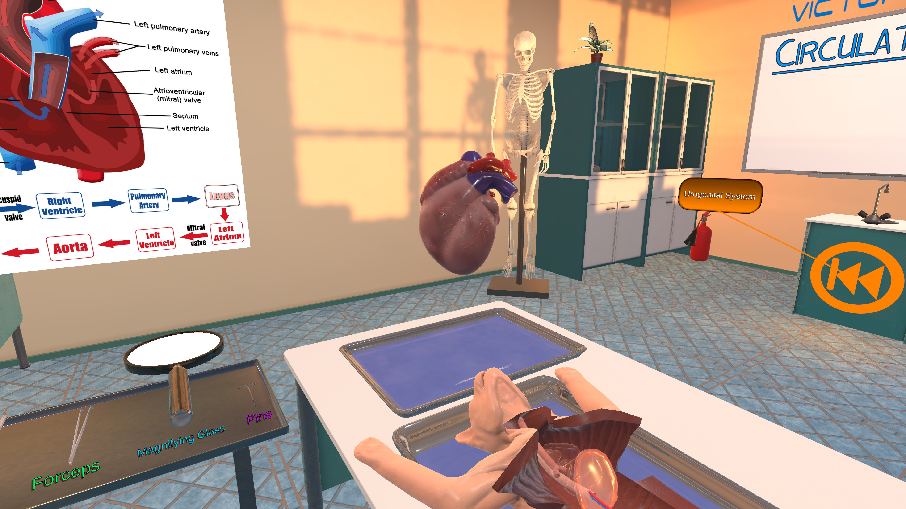 Dissection Simulator: Feline Edition screenshot 5