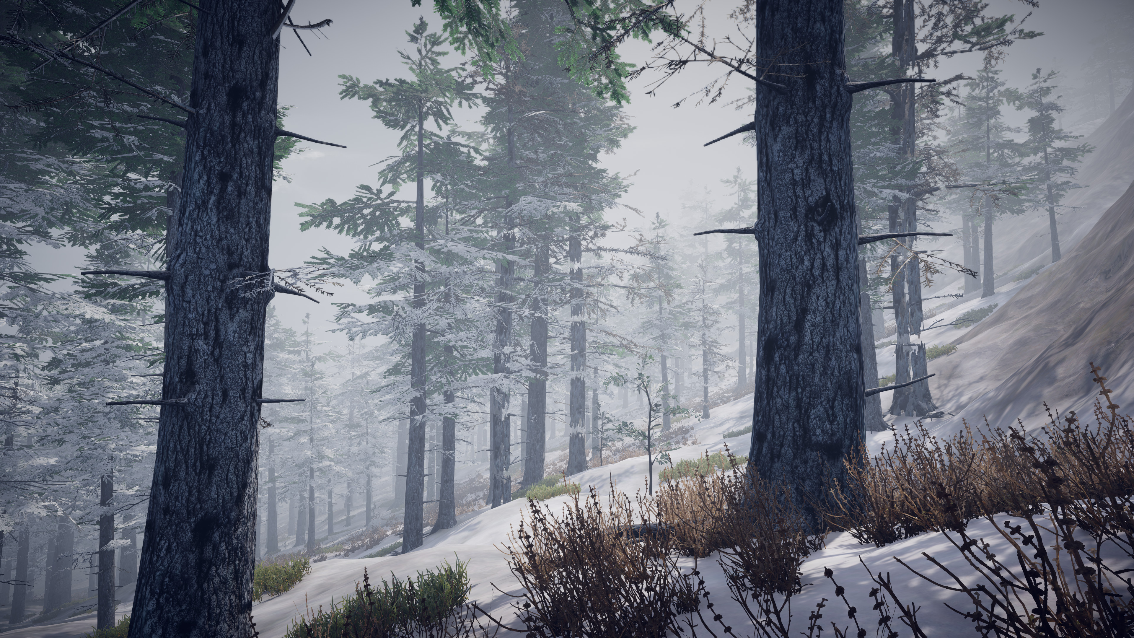 PROJECT D screenshot 23