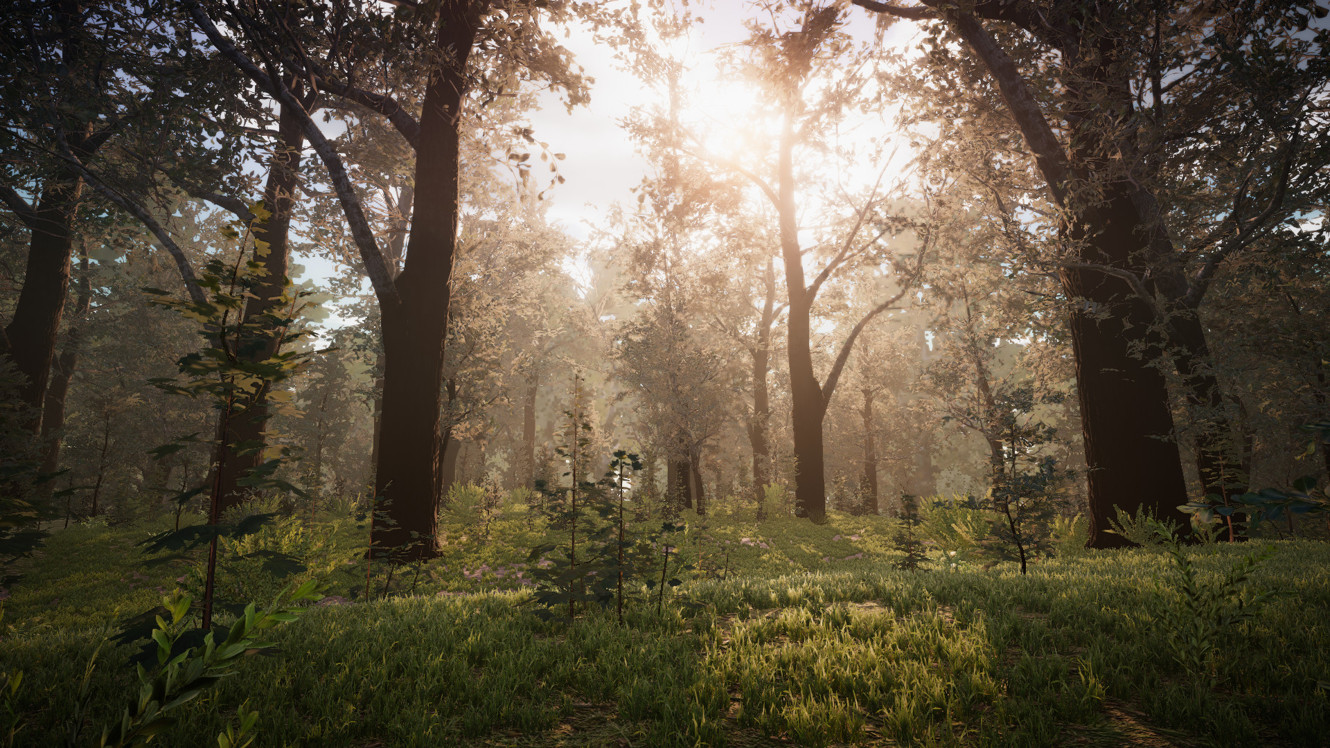 PROJECT D screenshot 14