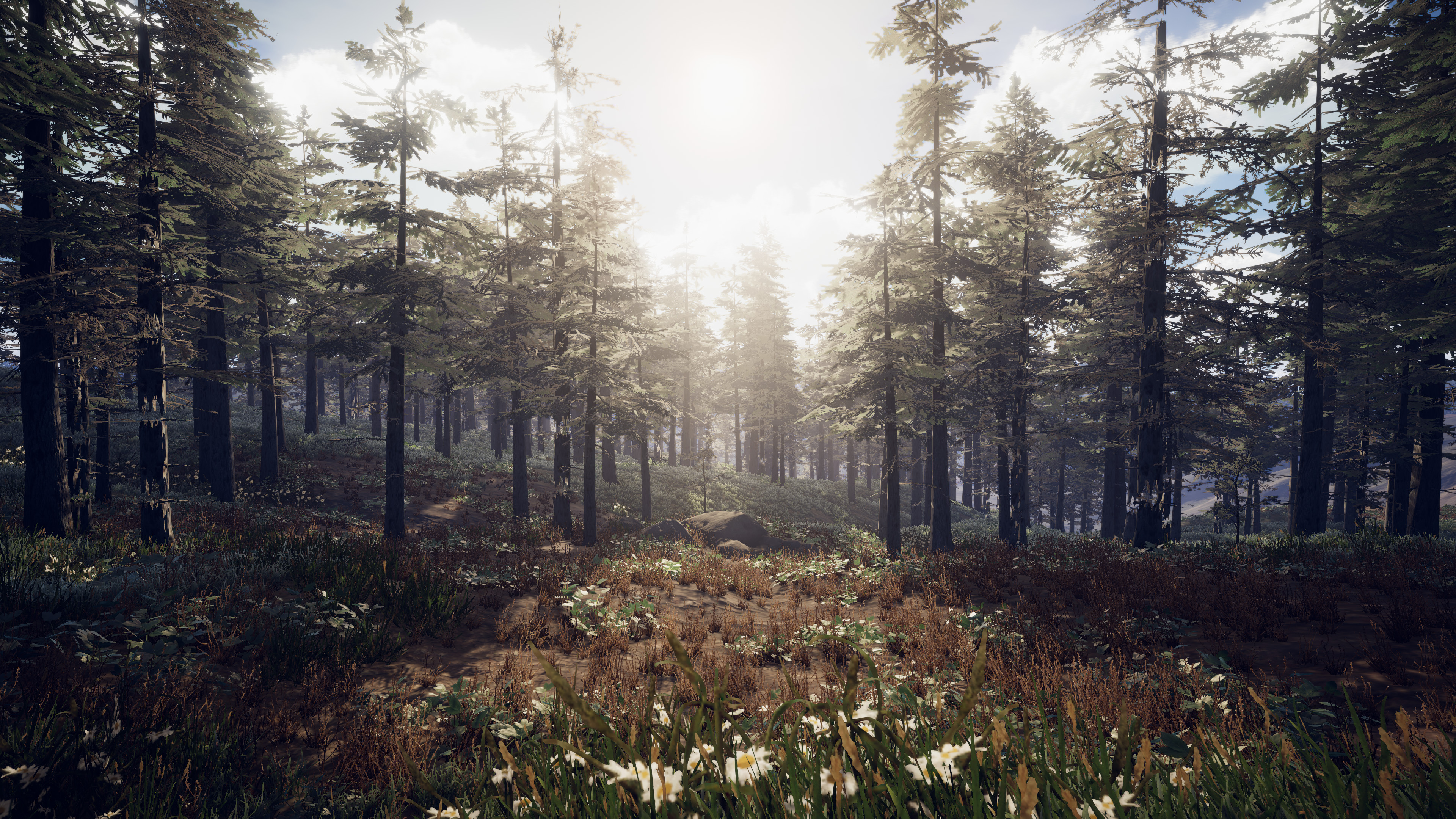PROJECT D screenshot 19