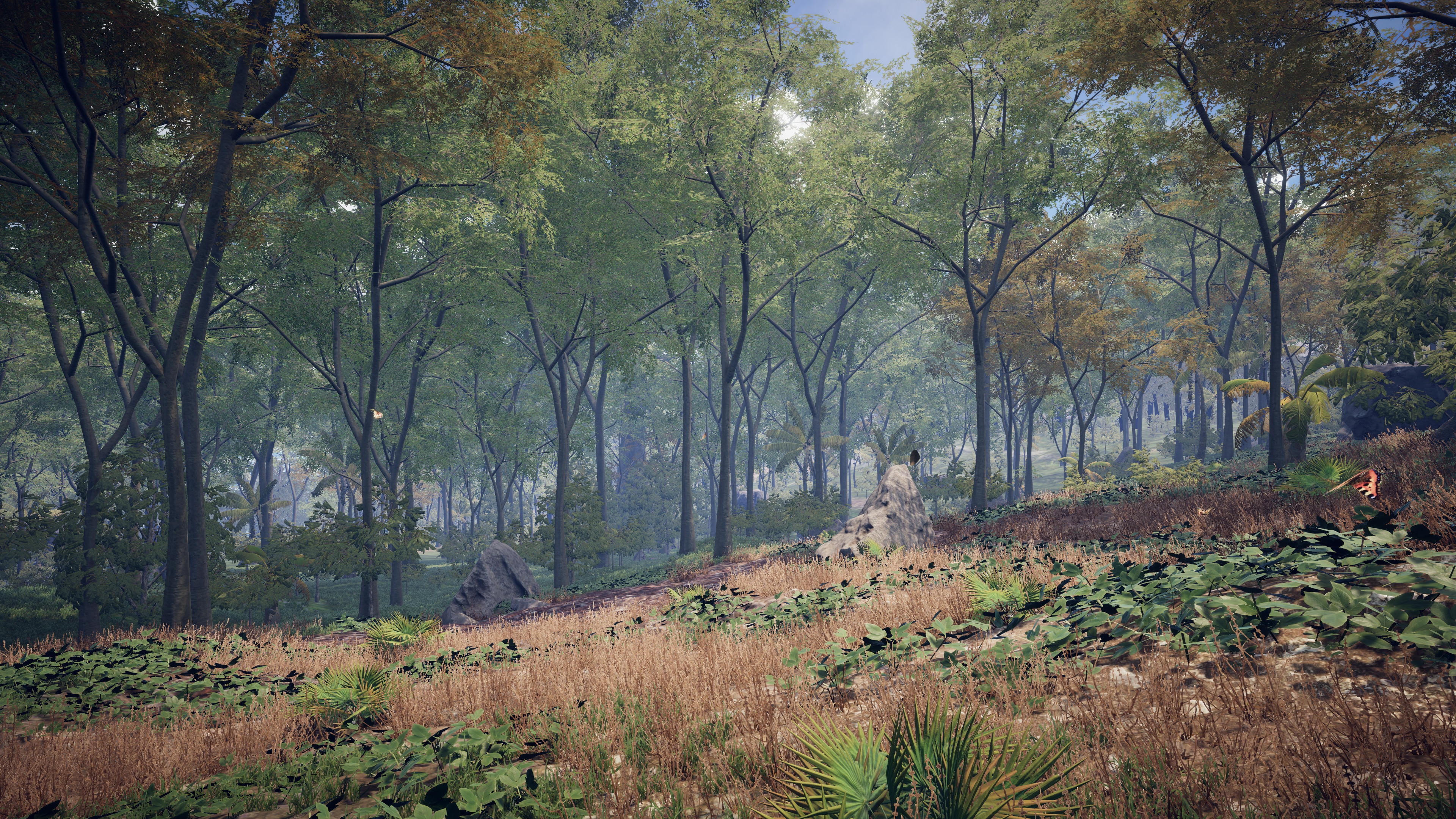 PROJECT D screenshot 20