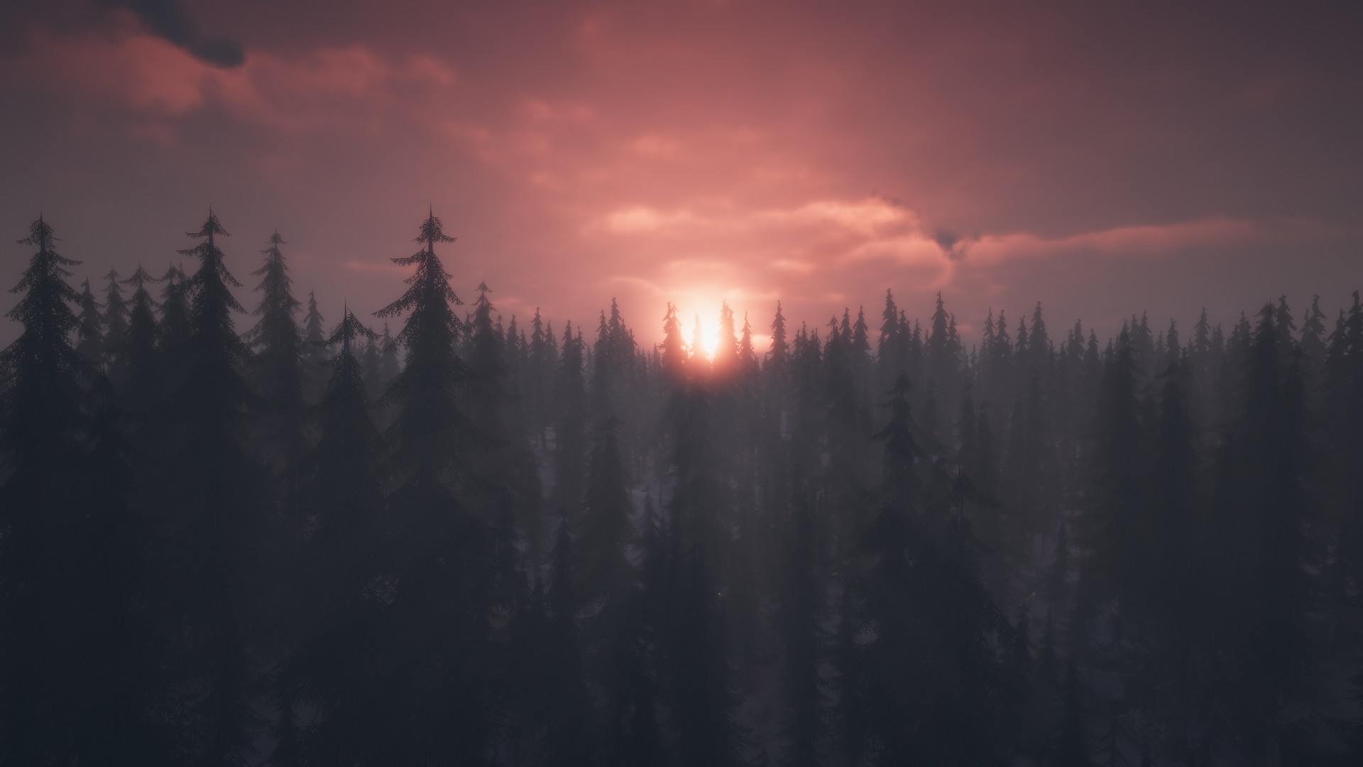 PROJECT D screenshot 16