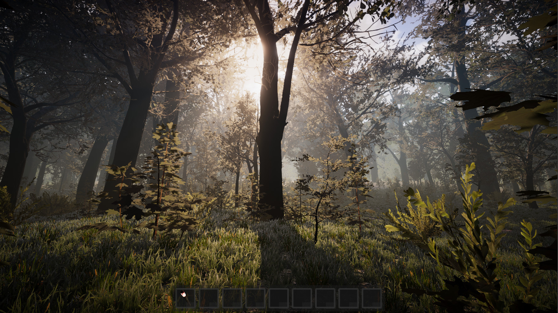 PROJECT D screenshot 8