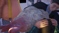 Screenshot #18