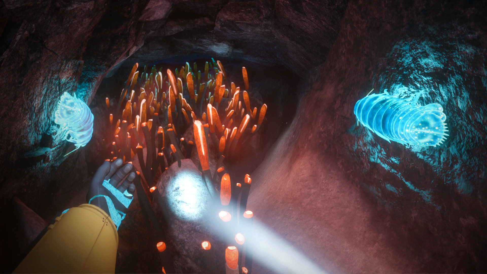 Biolum screenshot 3