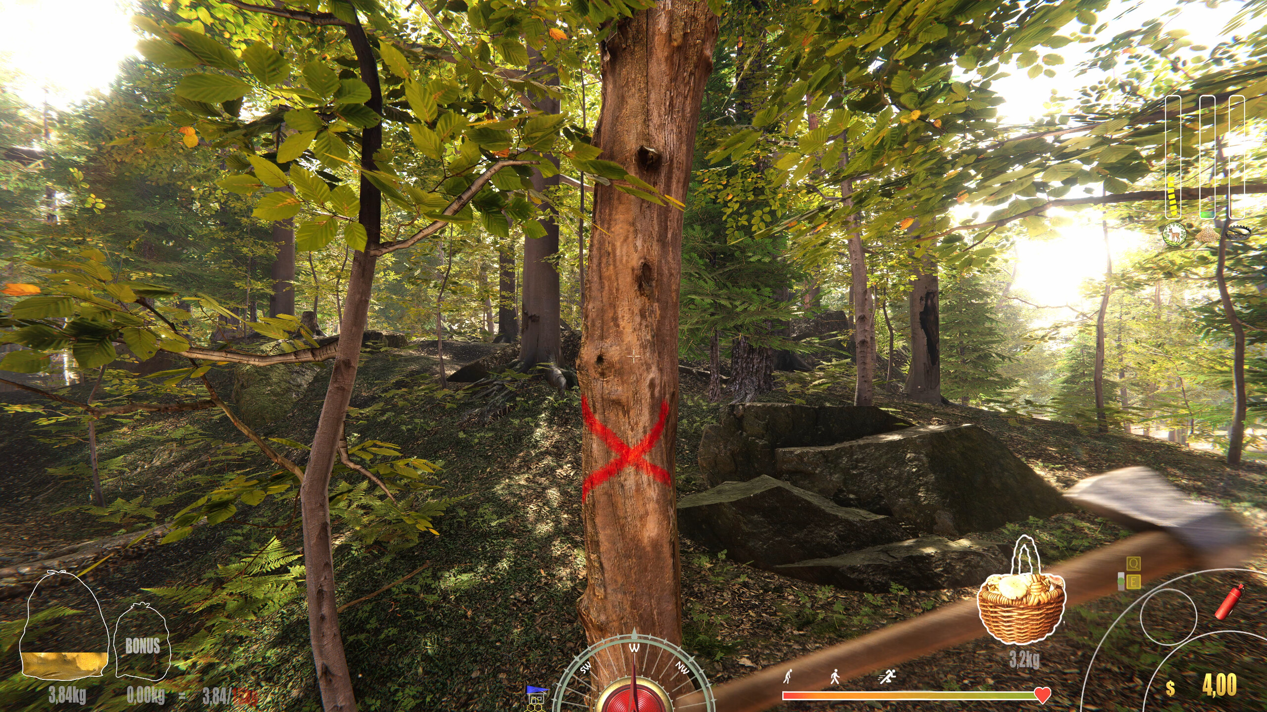 Forest Ranger Simulator screenshot 12