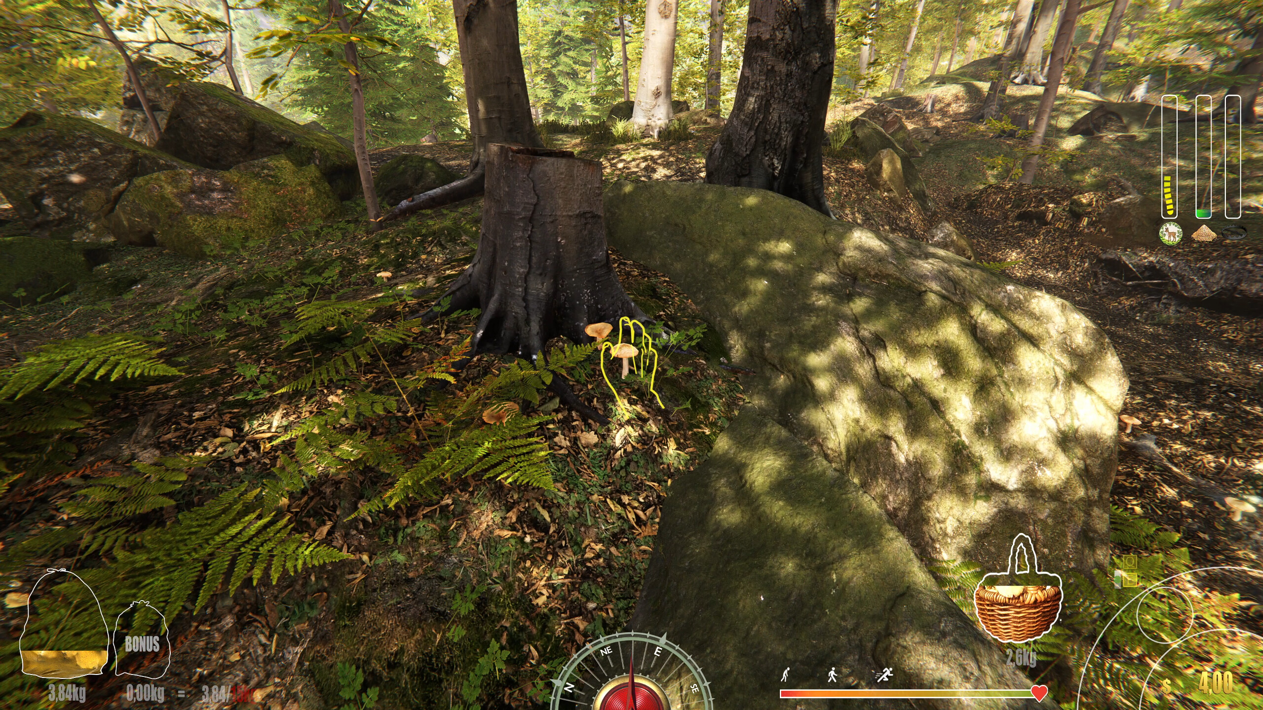 Forest Ranger Simulator screenshot 26