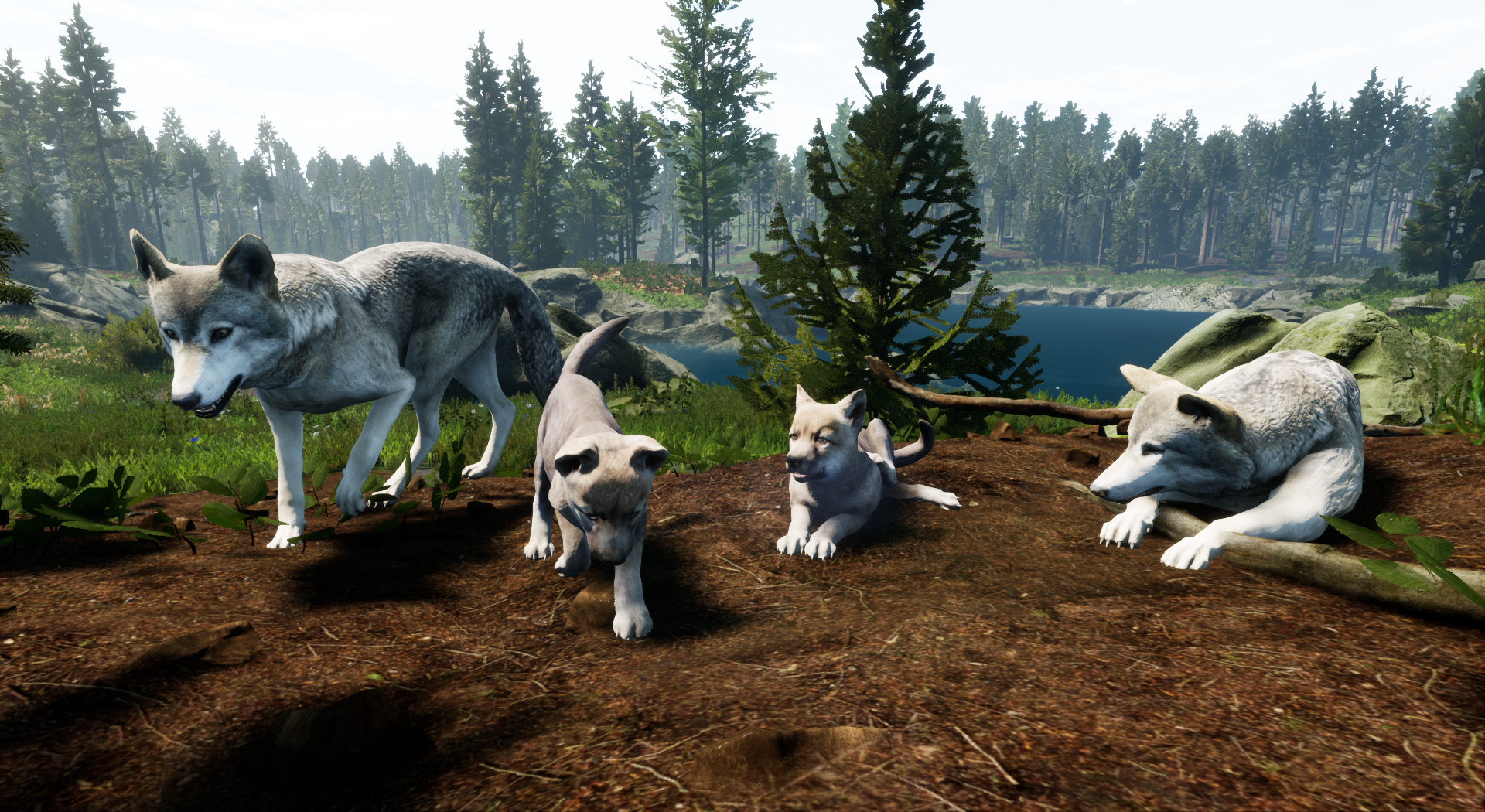 Territory screenshot 2