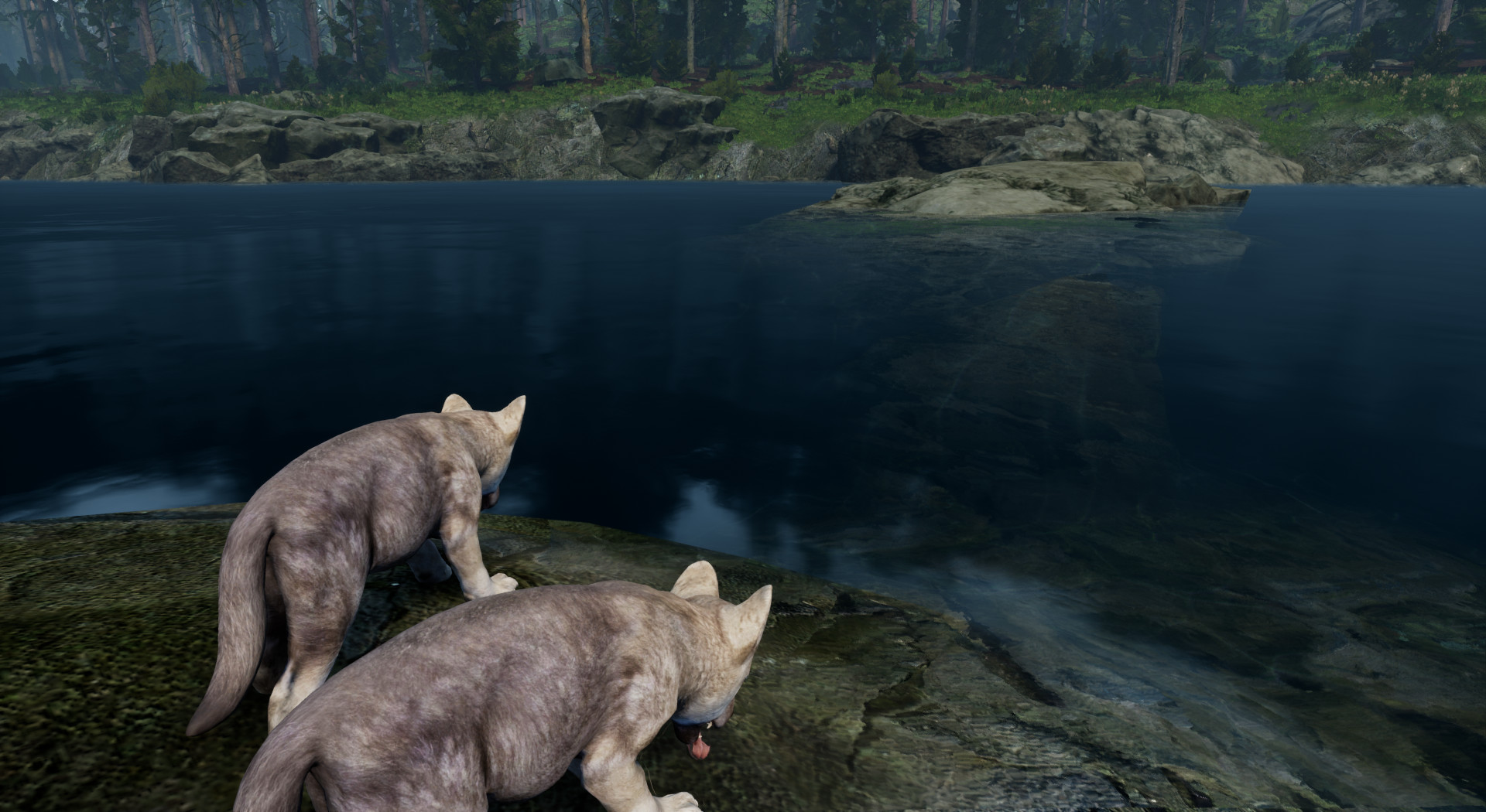 Territory screenshot 5