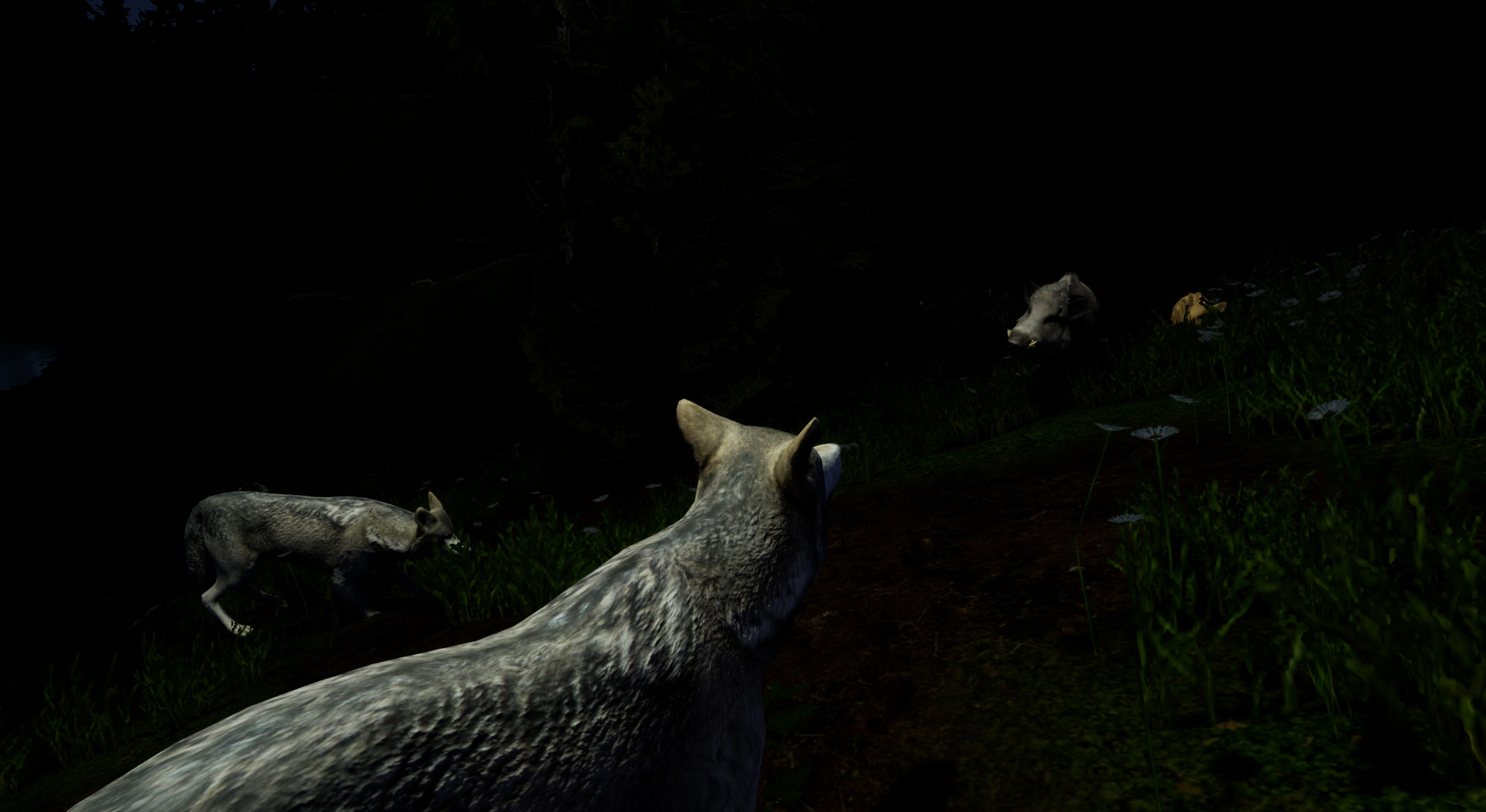 Territory screenshot 4