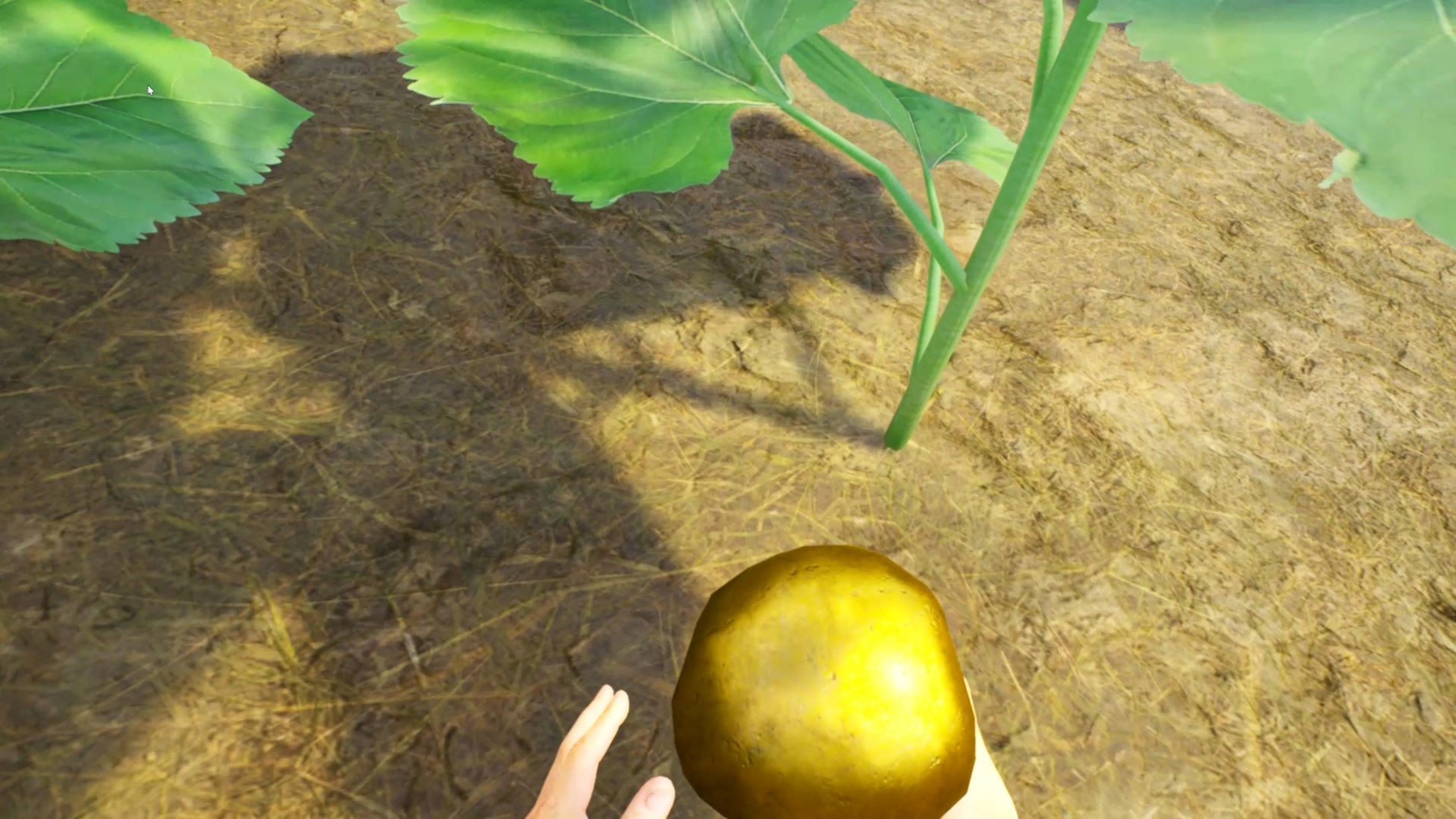 Country Road VR screenshot 16