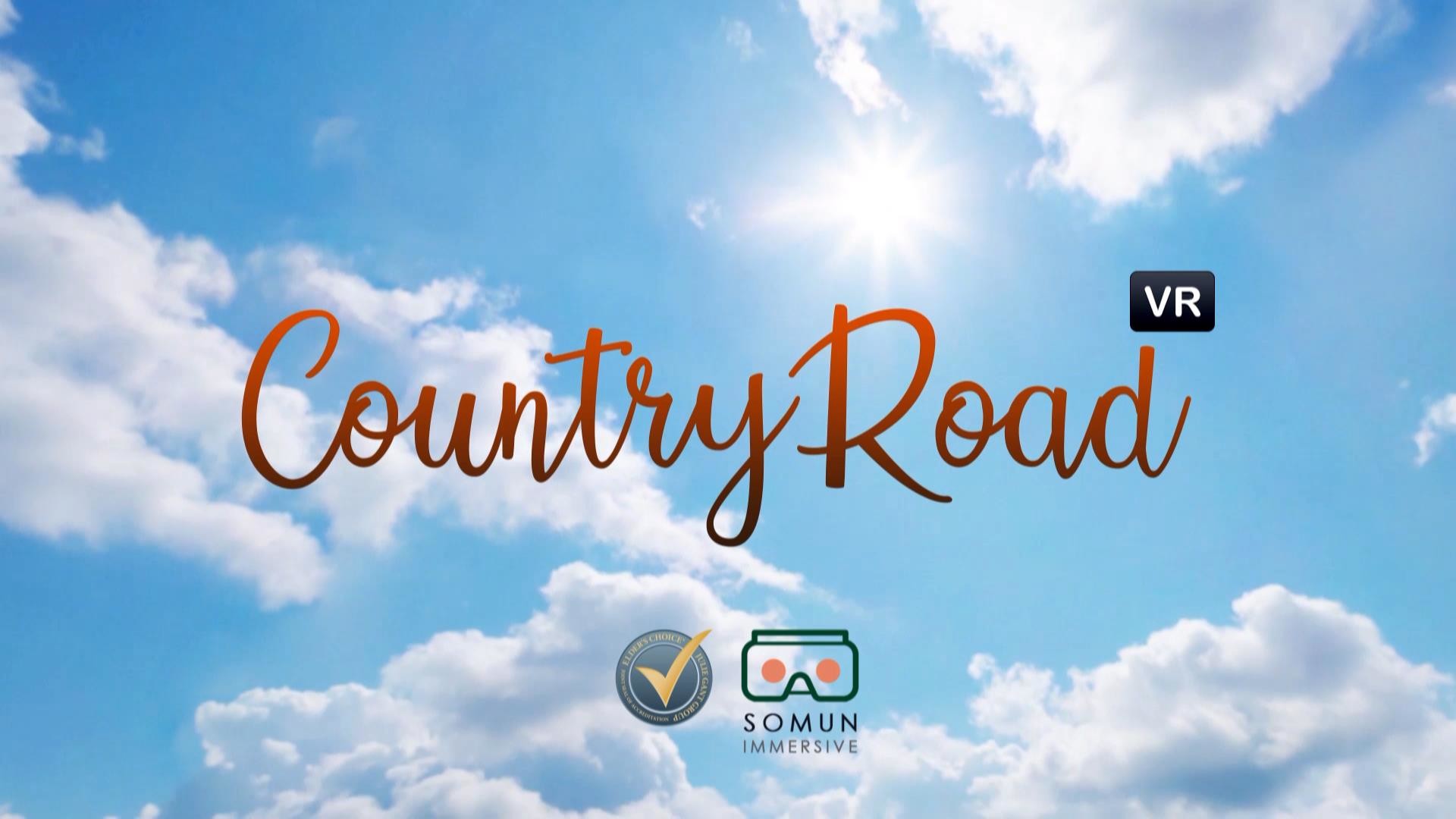 Country Road VR screenshot 5