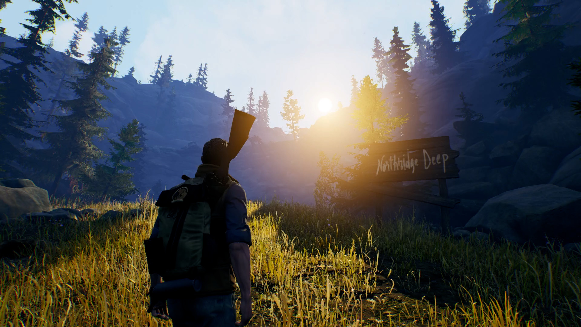 Open Country screenshot 5