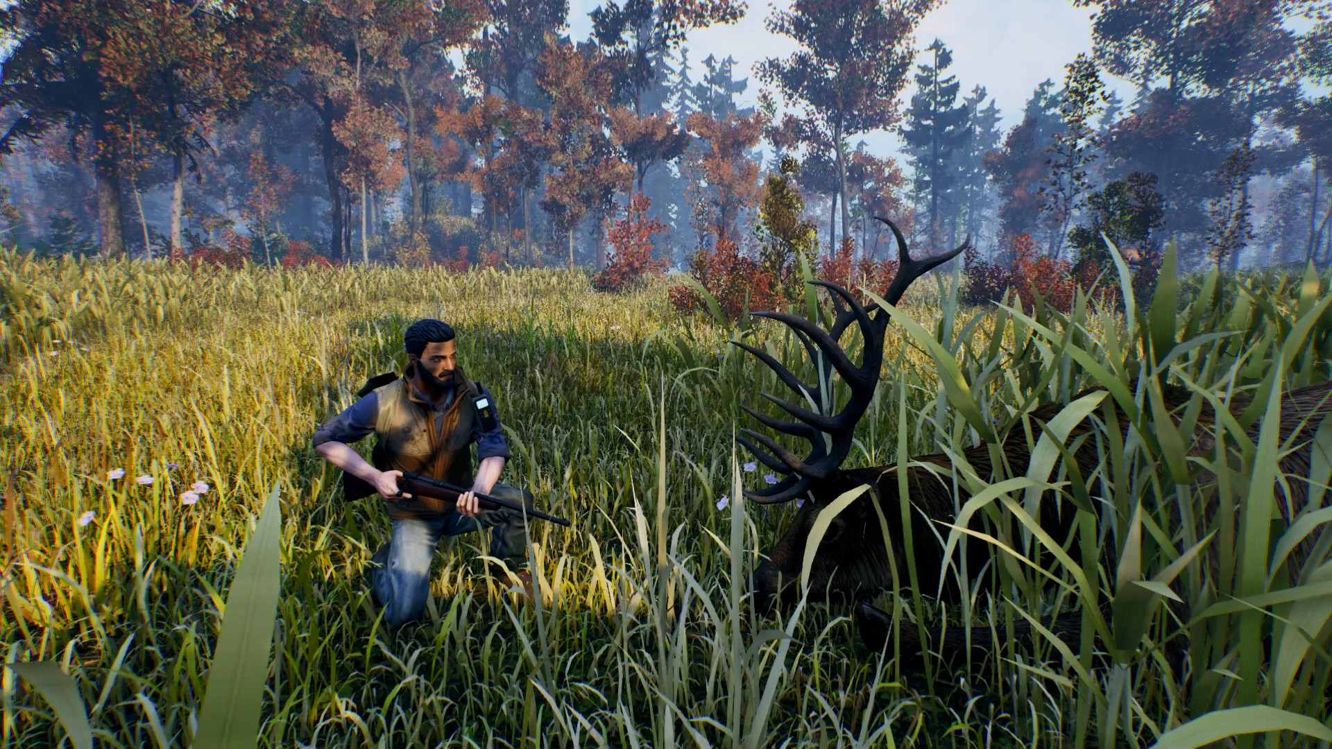 Open Country screenshot 4